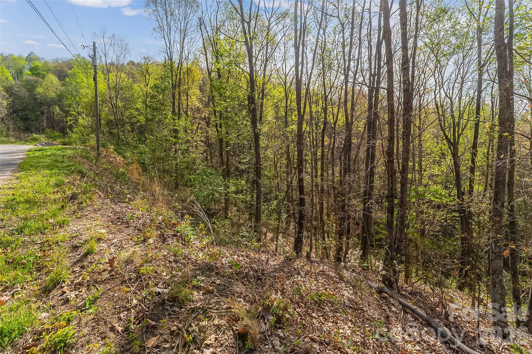 0 High Peak Mountain Road Property Photo 11