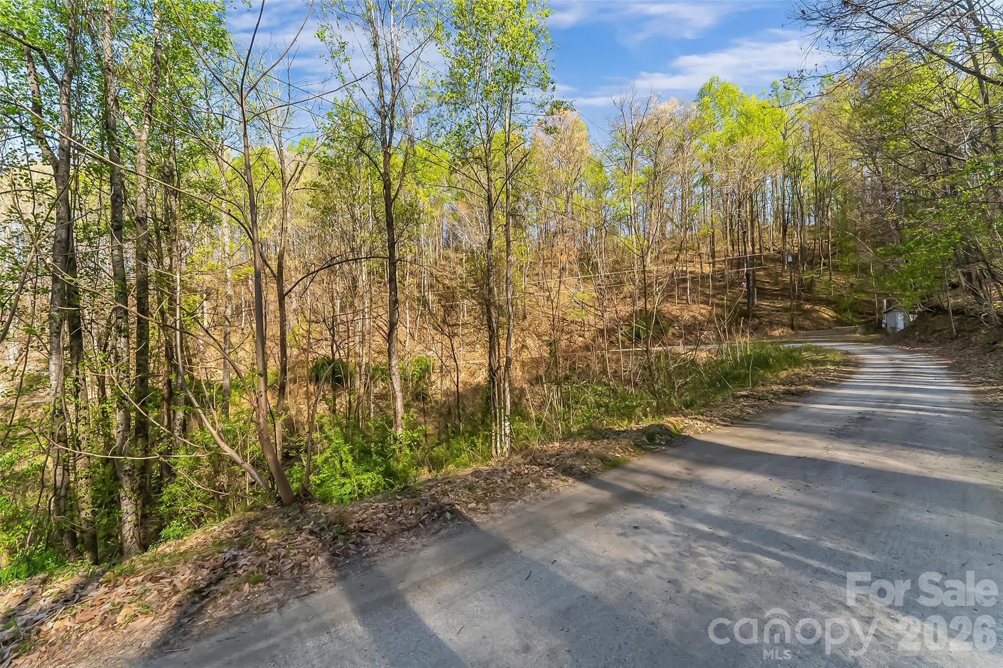 0 High Peak Mountain Road Property Photo 12