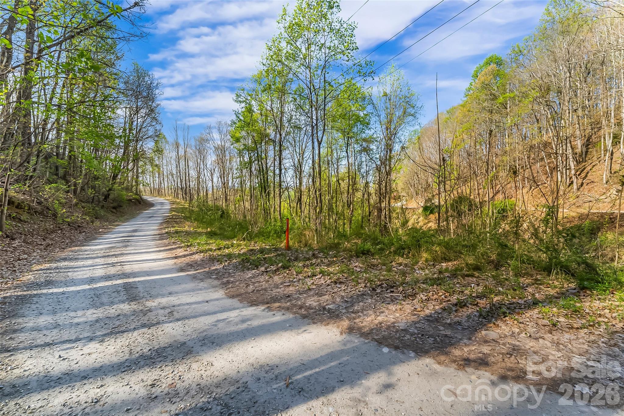0 High Peak Mountain Road Property Photo 14
