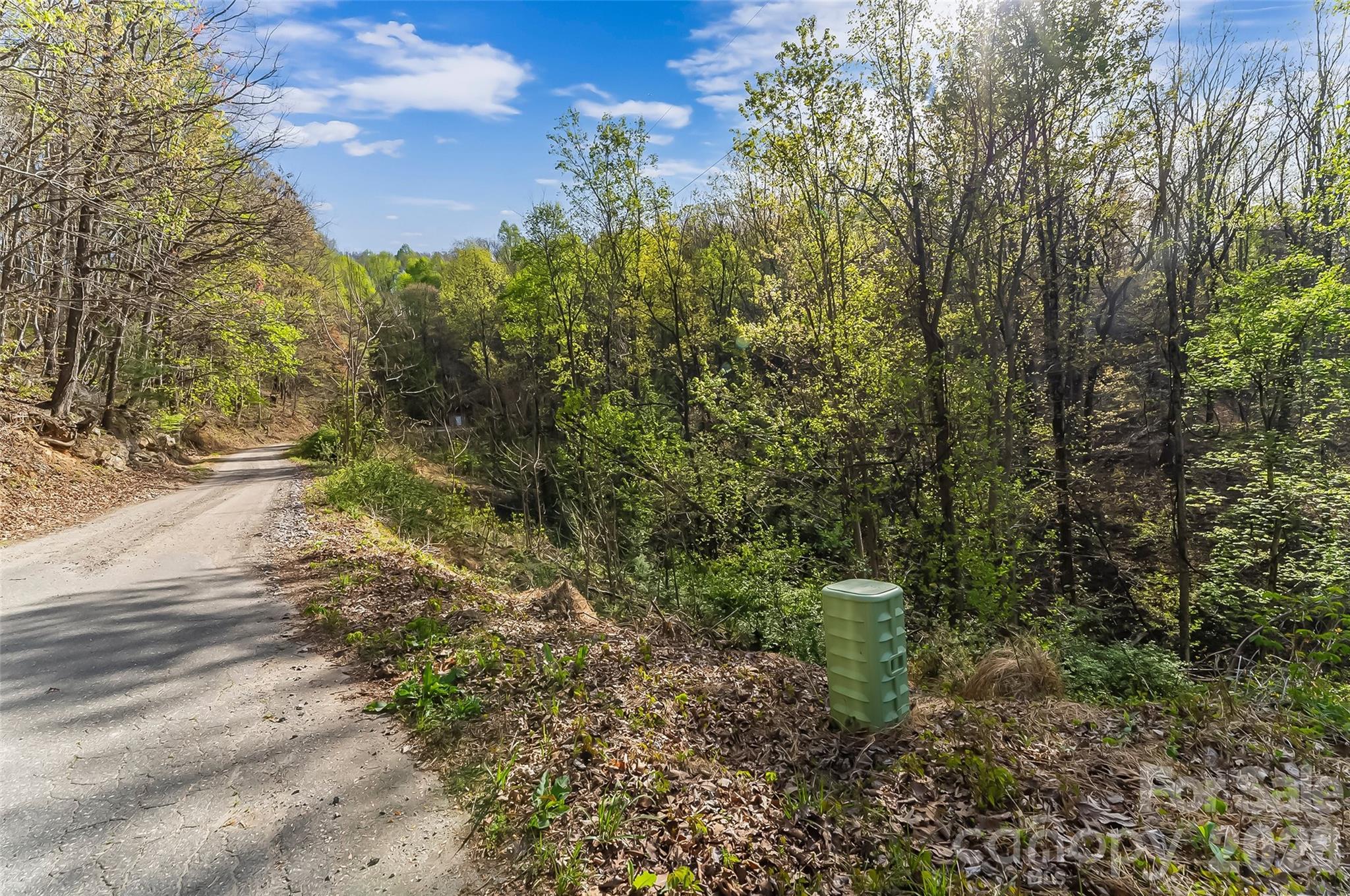0 High Peak Mountain Road Property Photo 15