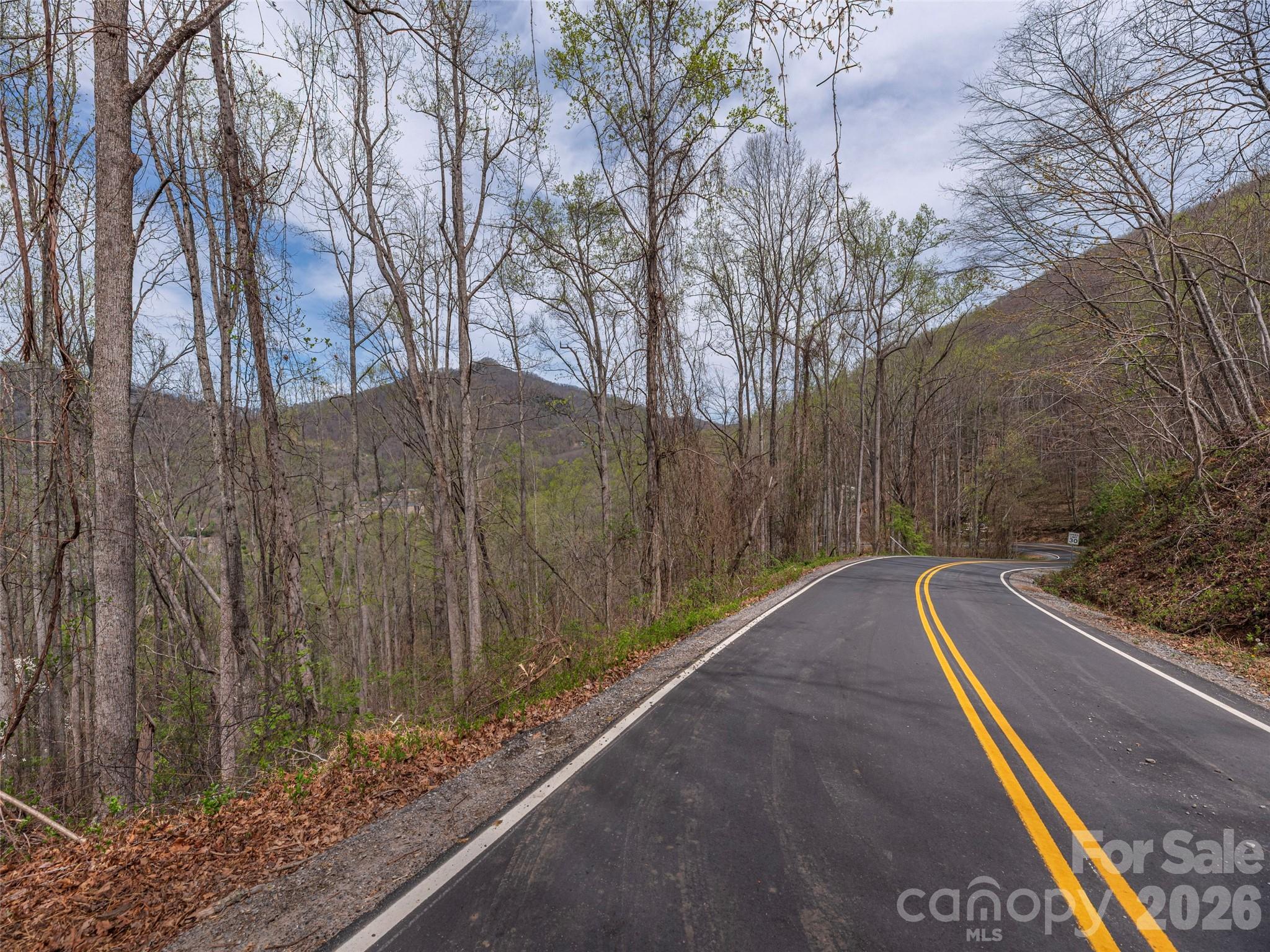111 & 125 Cedar Mountain Road Property Photo 2