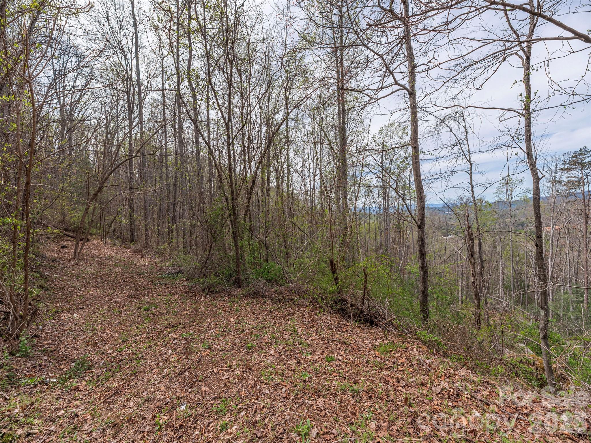 111 & 125 Cedar Mountain Road Property Photo 4