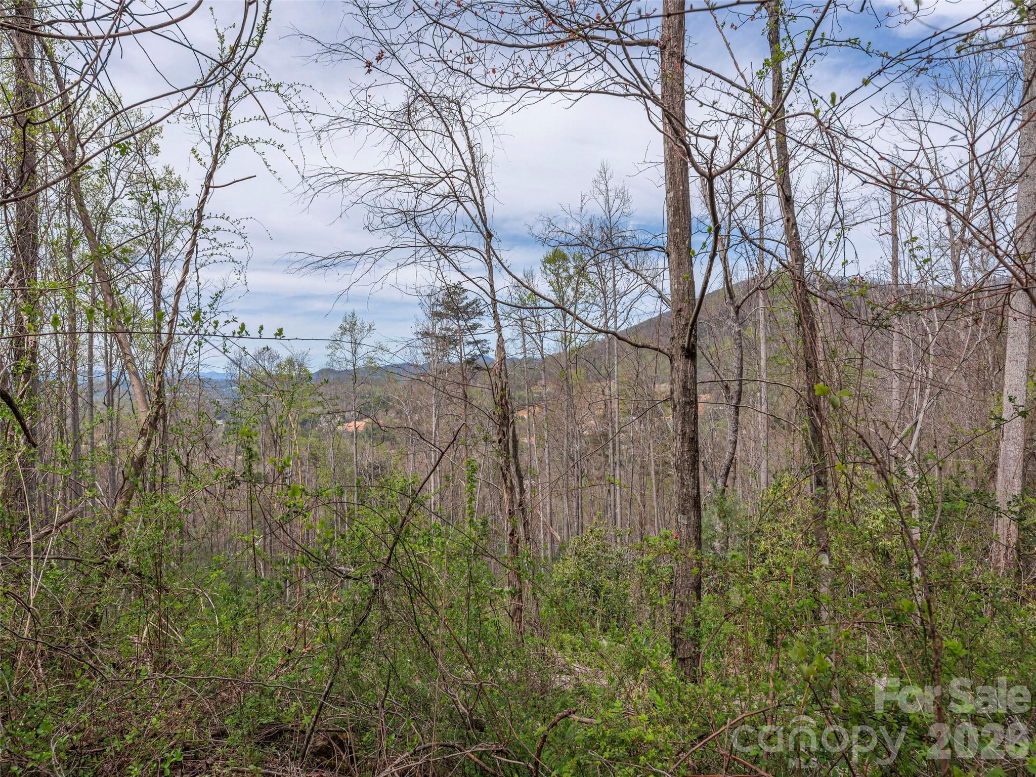 111 & 125 Cedar Mountain Road Property Photo 5
