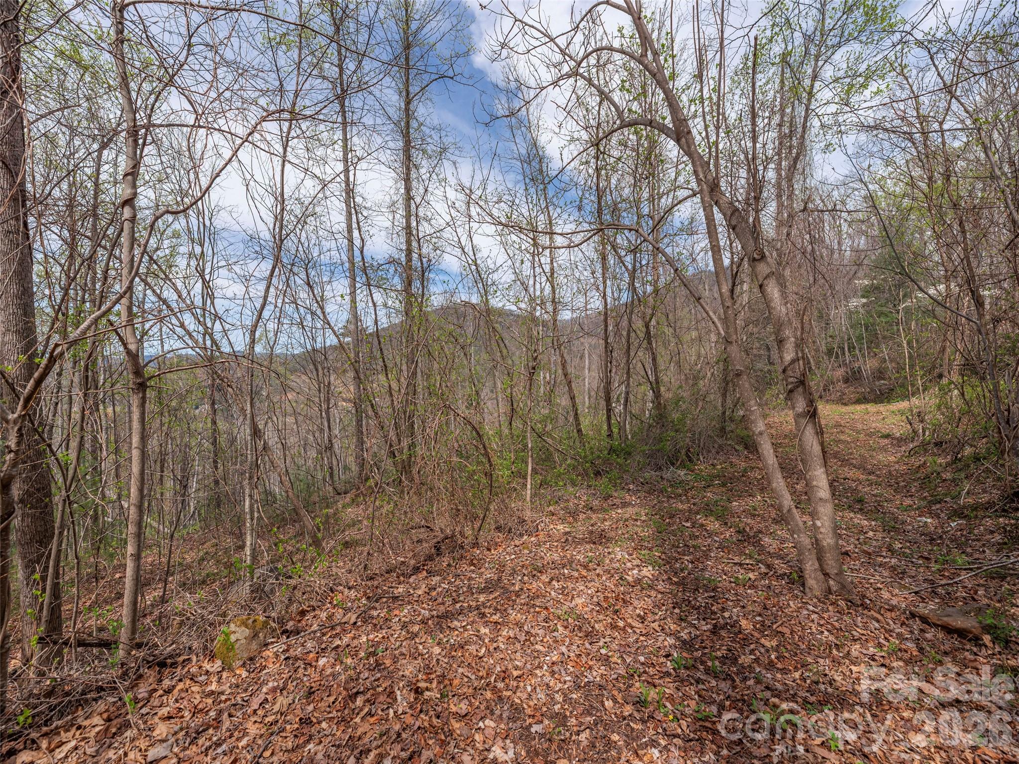 111 & 125 Cedar Mountain Road Property Photo 6