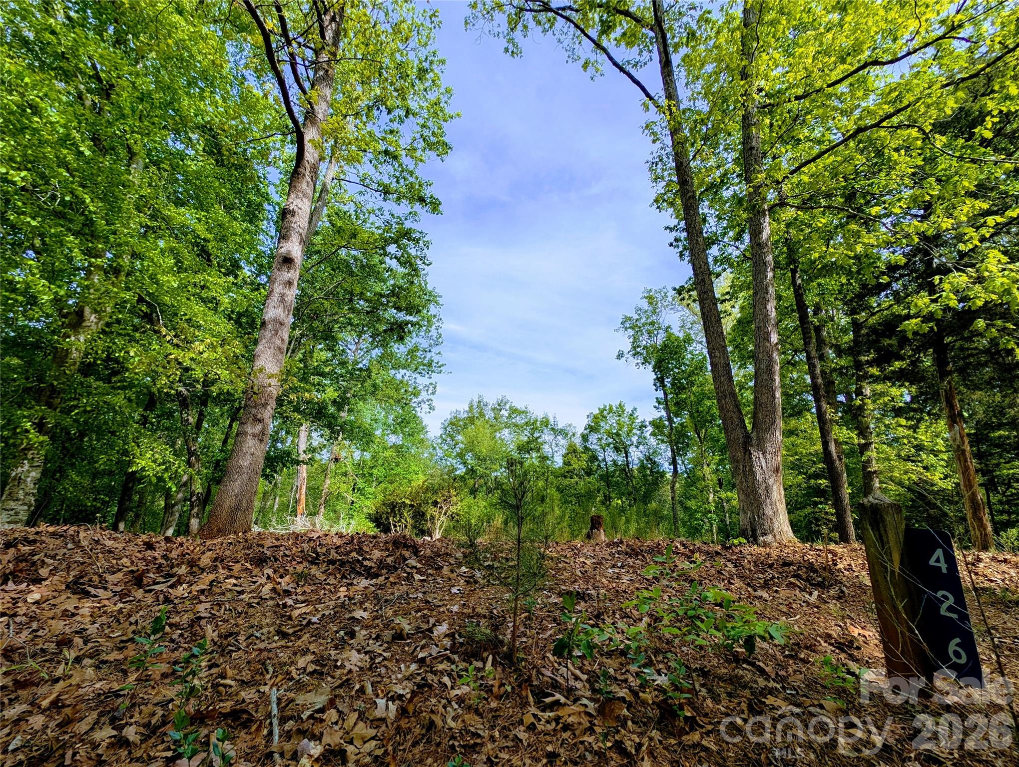 426 Mountain Ridge Court Property Photo 3