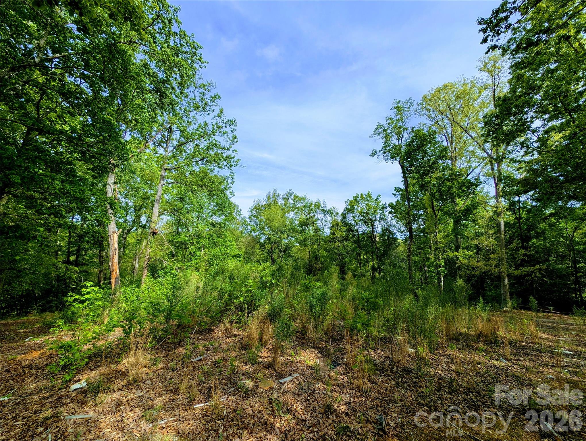 426 Mountain Ridge Court Property Photo 4