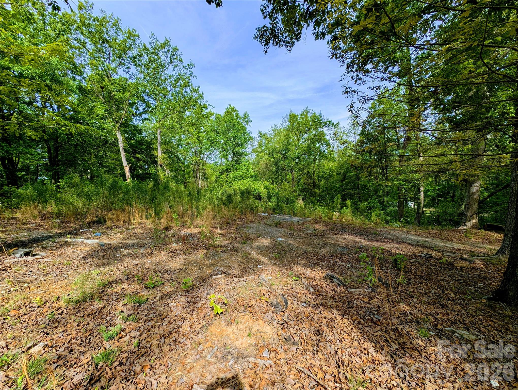 426 Mountain Ridge Court Property Photo 5