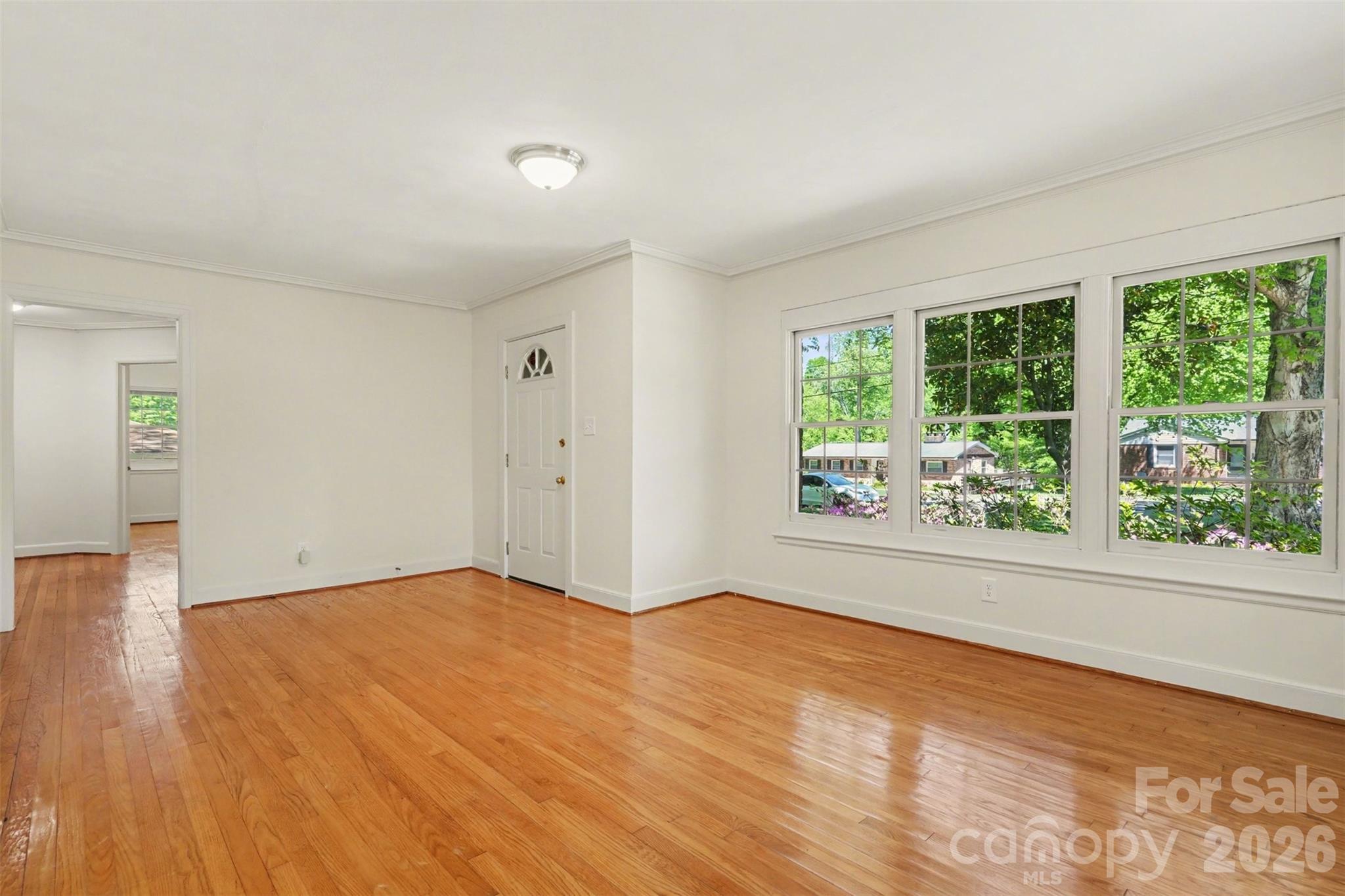 804 Phillips Street Property Photo 9