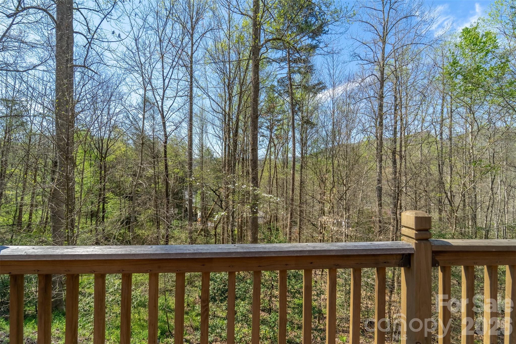 201 Windcrest Ridge Property Photo 24