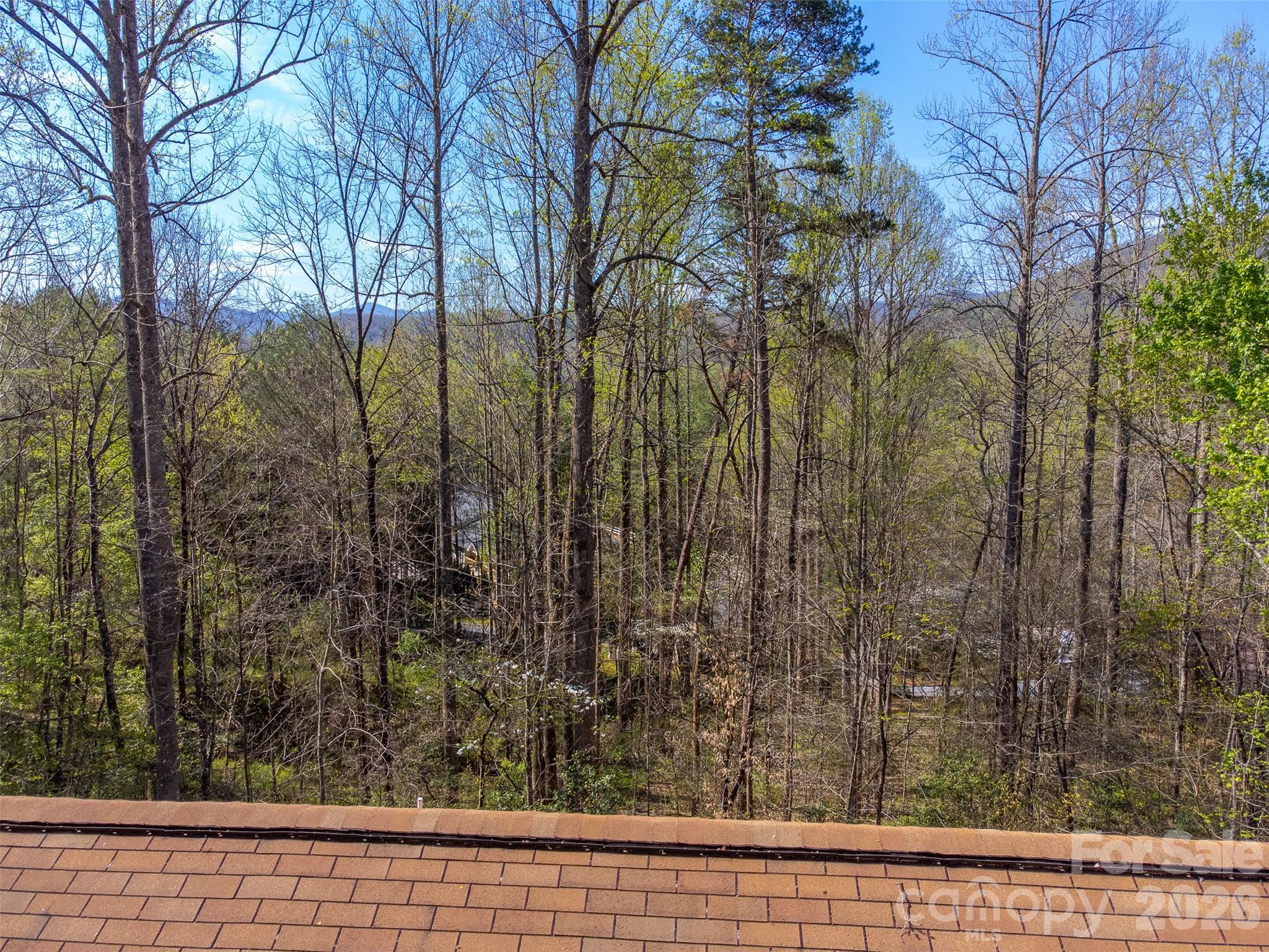 201 Windcrest Ridge Property Photo 33