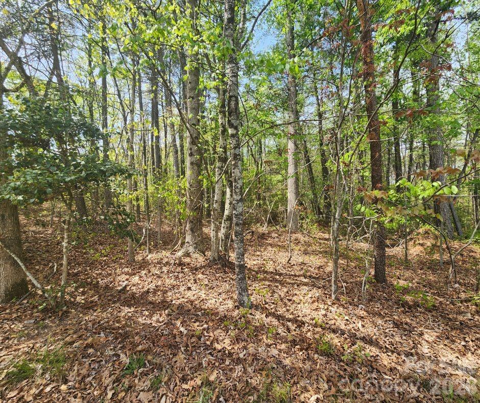 00 Saddlebrook Lane Property Photo 3