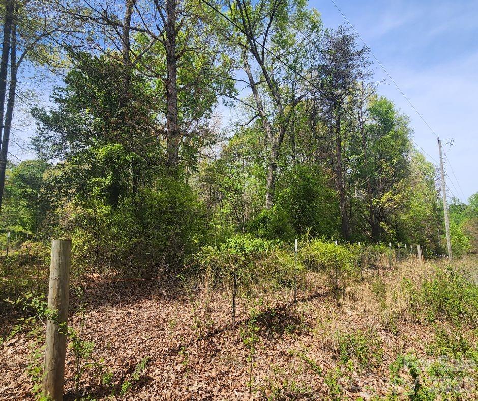 00 Saddlebrook Lane Property Photo 4