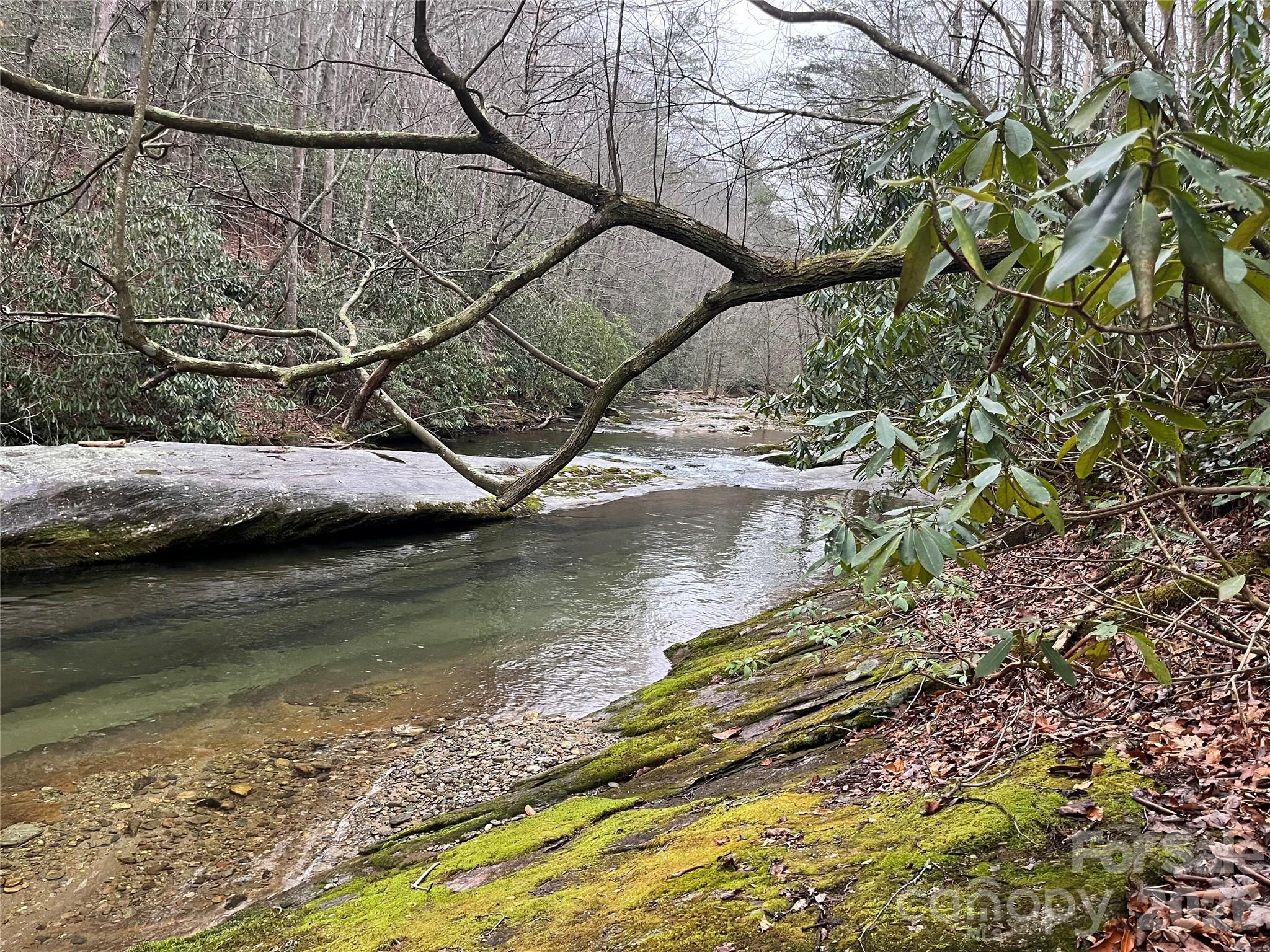 Tbd Powder Horn Road Property Photo 5