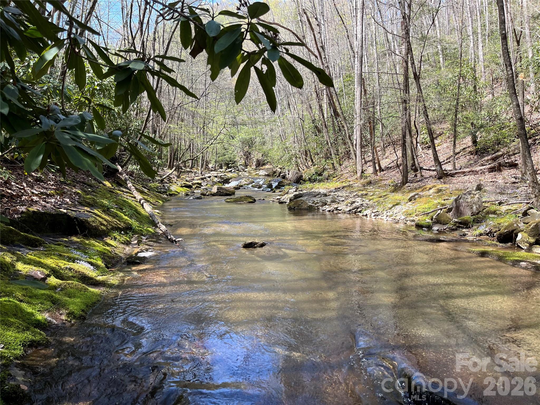 Tbd Powder Horn Road Property Photo 15