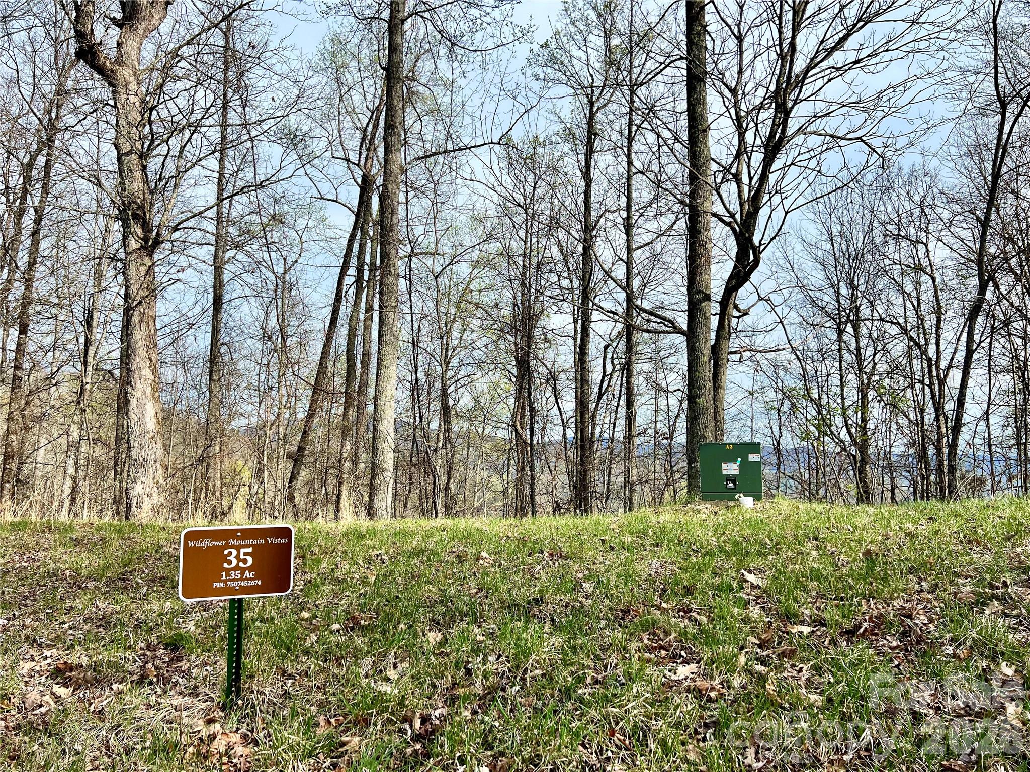 00 Lyle Mountain Trail 35 Property Photo 11