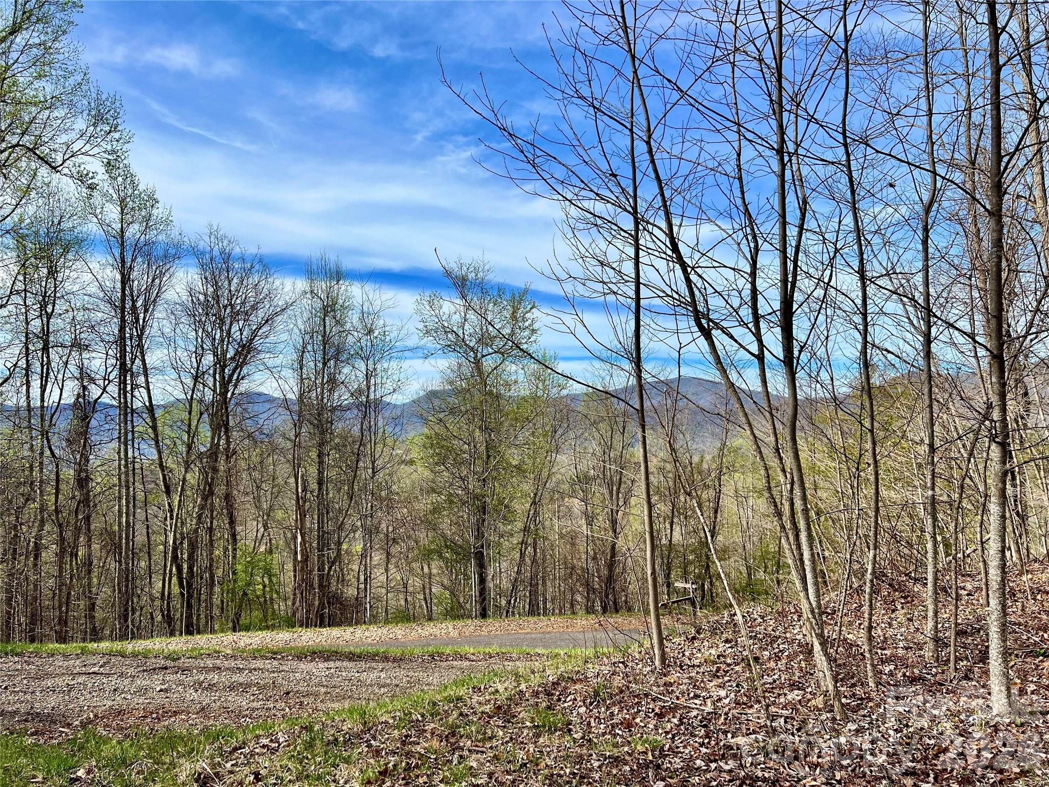 00 Lyle Mountain Trail 35 Property Photo 12