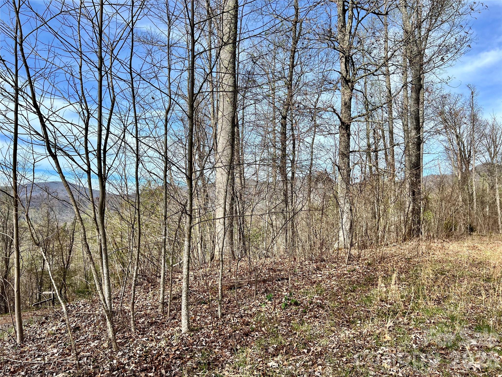 00 Lyle Mountain Trail 35 Property Photo 13