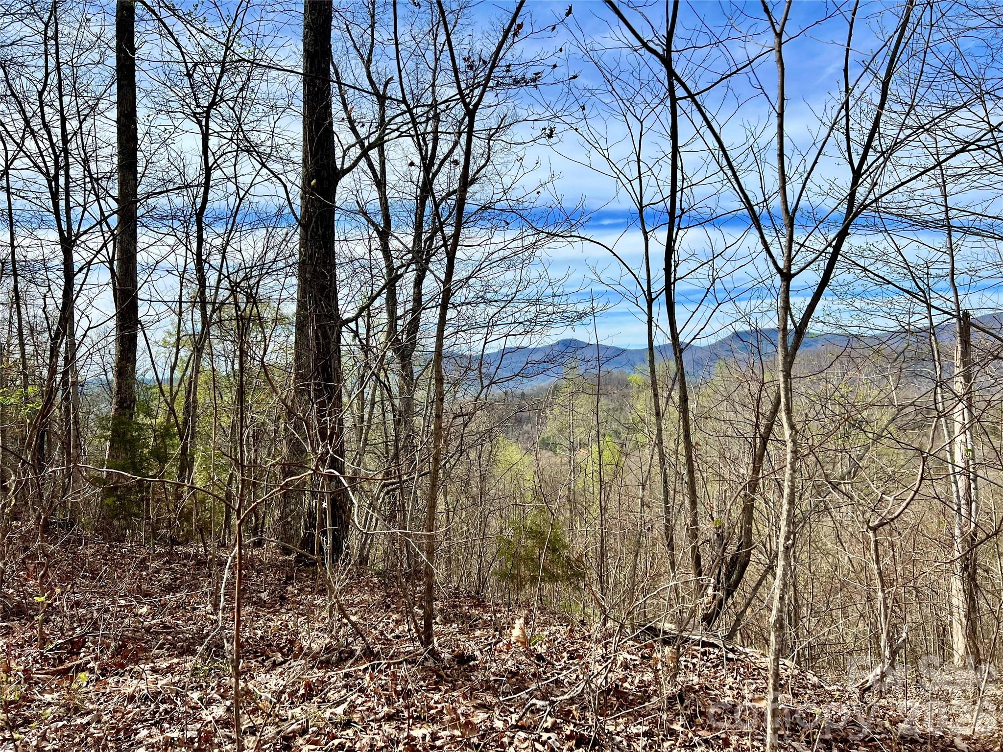 00 Lyle Mountain Trail 35 Property Photo 14