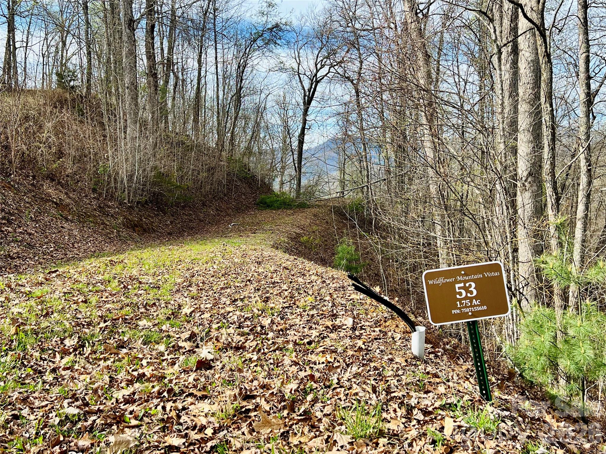 00 Lyle Mountain Trail 53 Property Photo 11