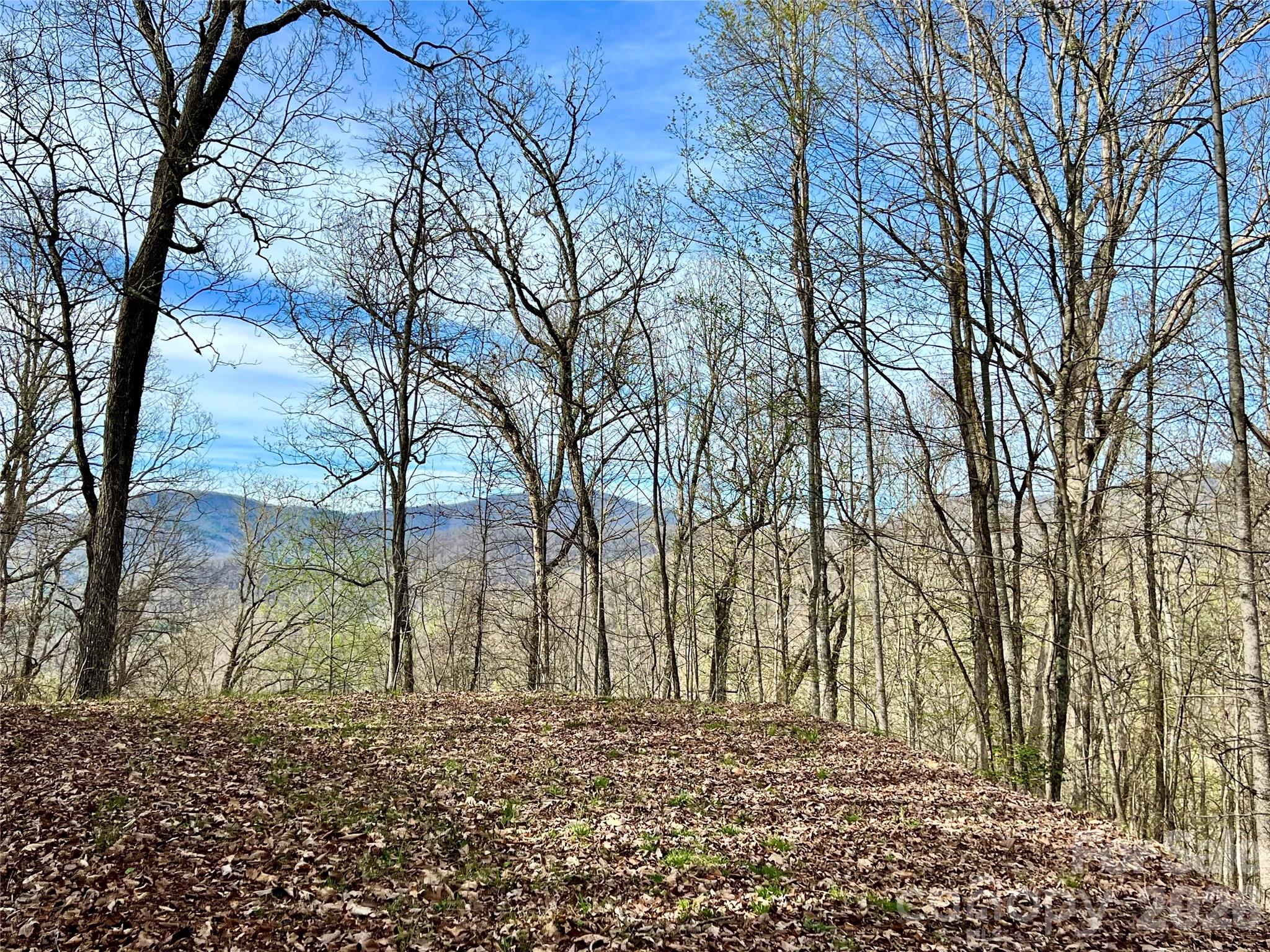 00 Lyle Mountain Trail 53 Property Photo 12