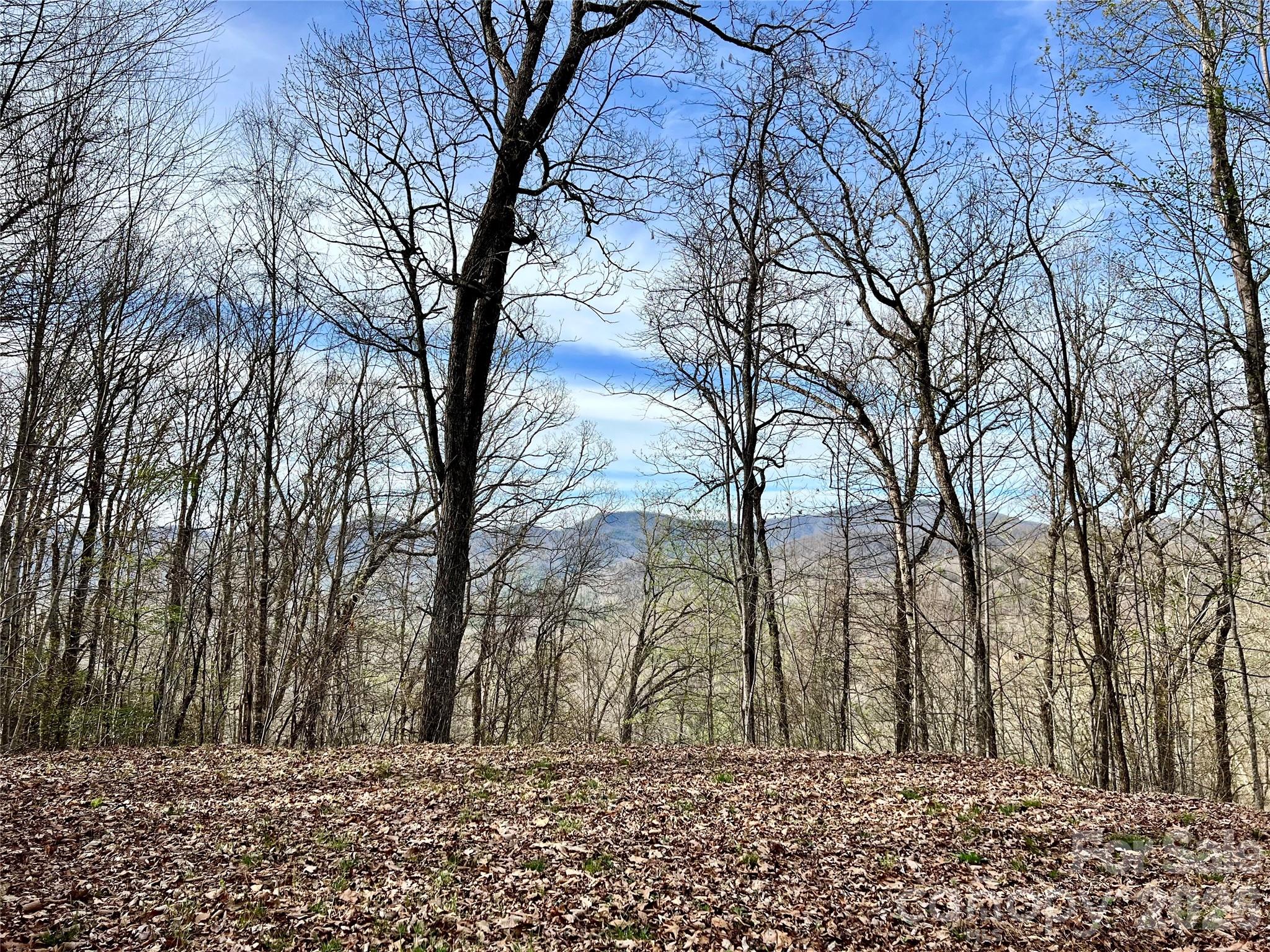 00 Lyle Mountain Trail 53 Property Photo 13