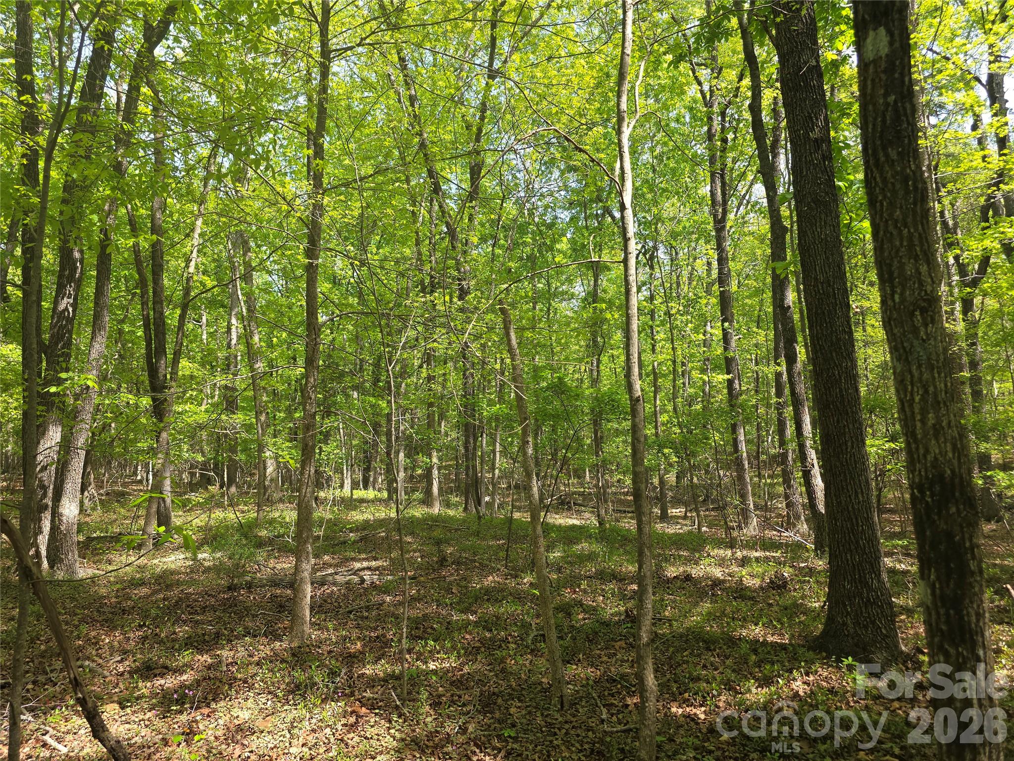 Lot 5 Wolf Pond Road Property Photo 2