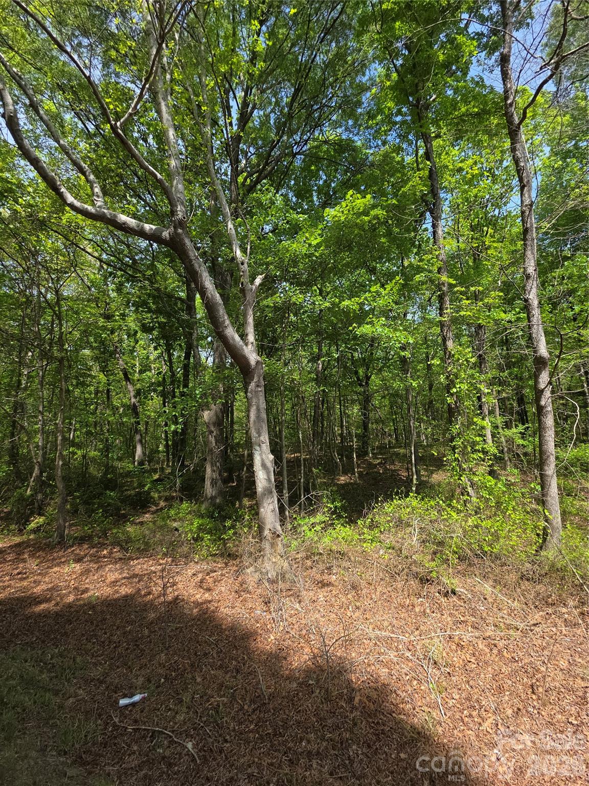 Lot 5 Wolf Pond Road Property Photo 3