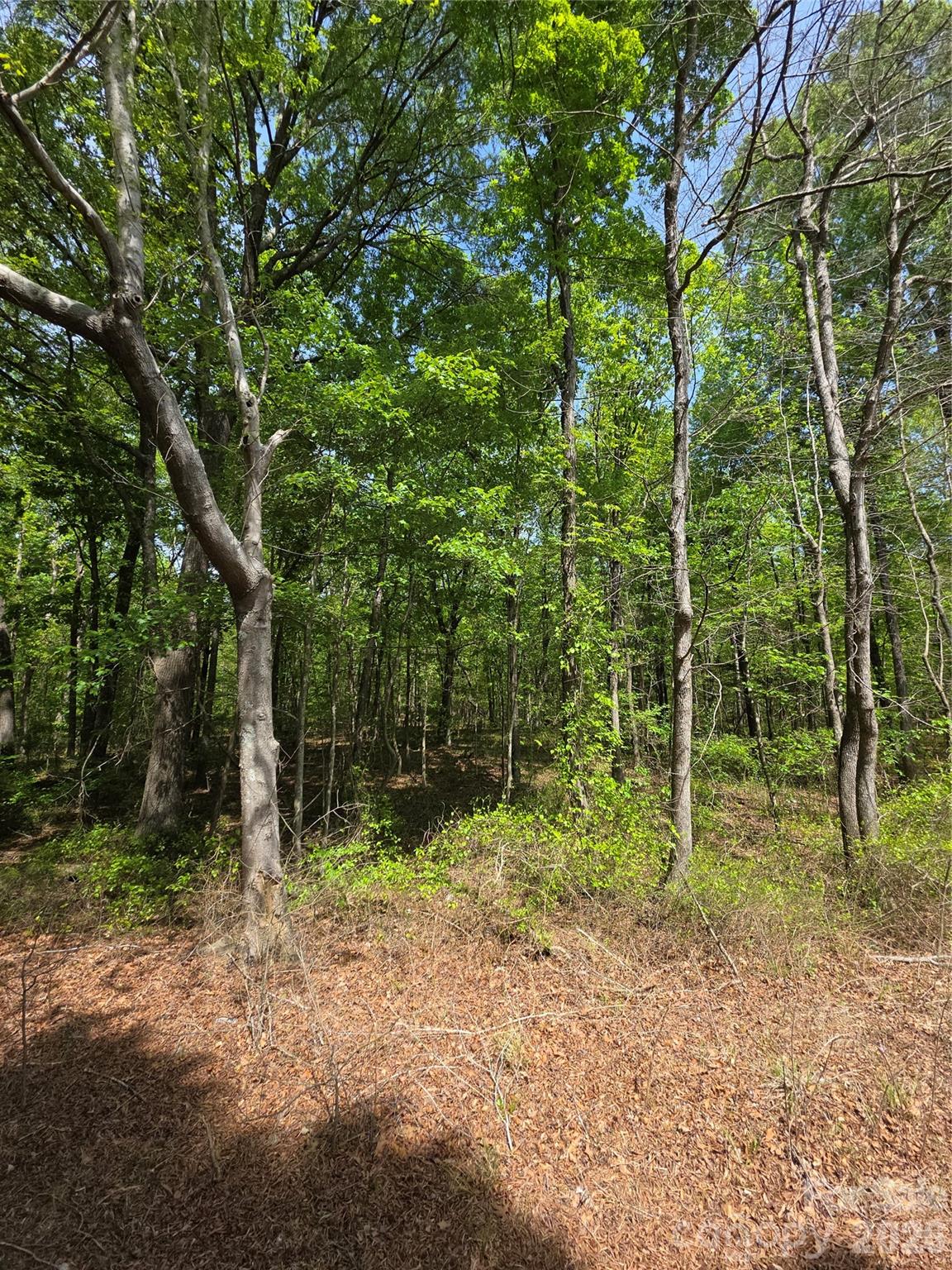 Lot 5 Wolf Pond Road Property Photo 4