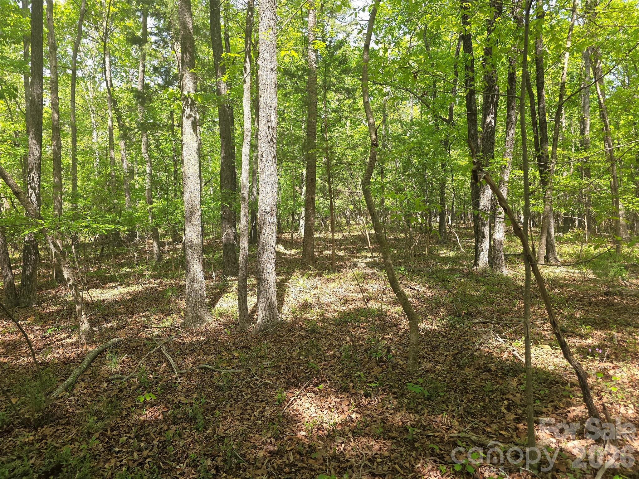 Lot 5 Wolf Pond Road Property Photo 5