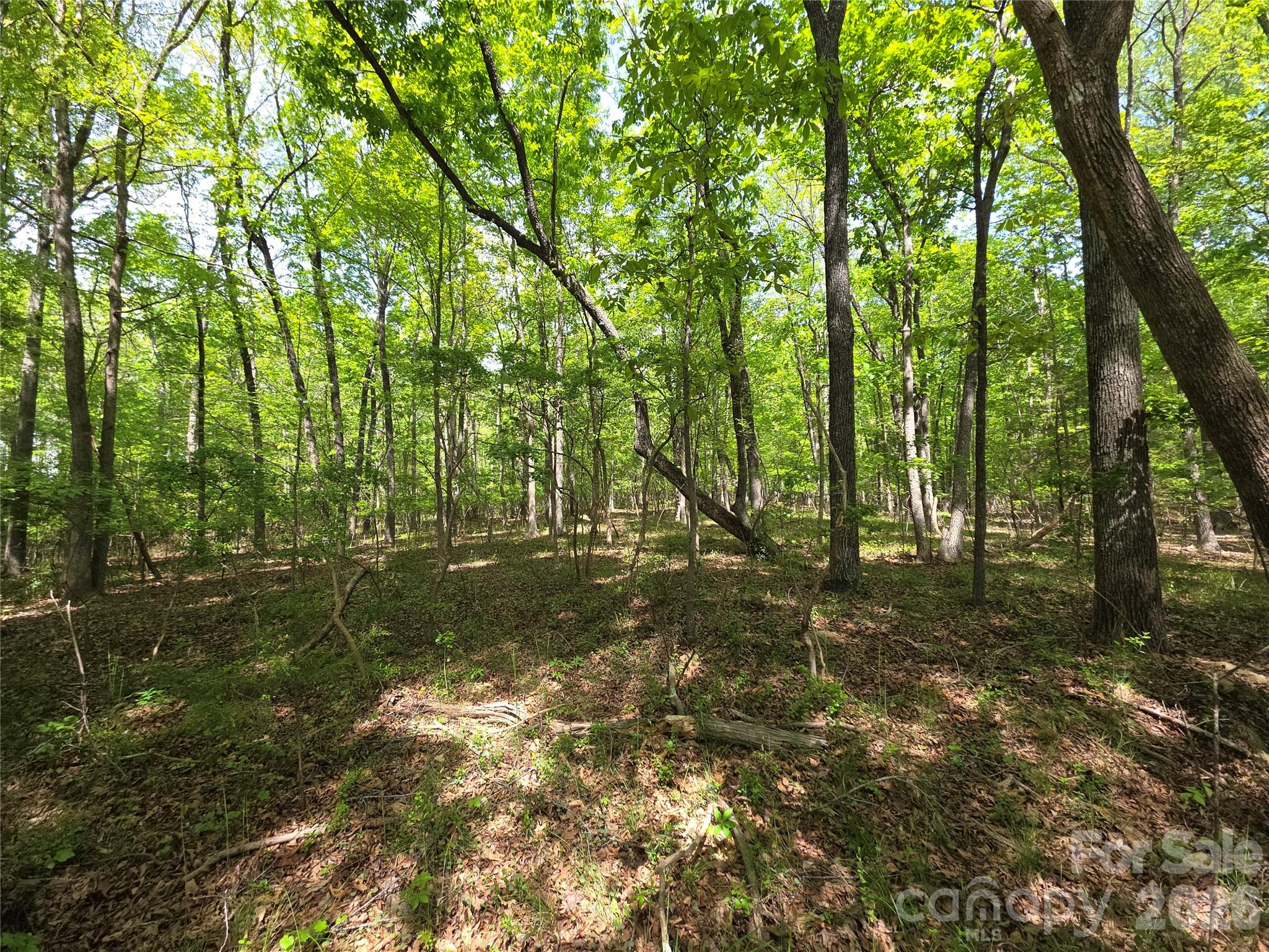 Lot 5 Wolf Pond Road Property Photo 6