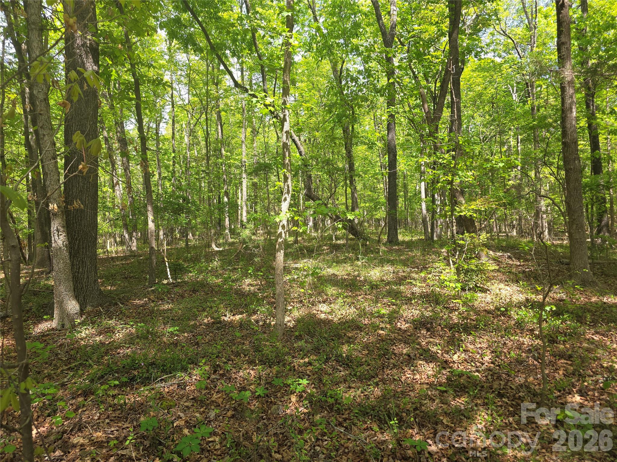 Lot 5 Wolf Pond Road Property Photo 7