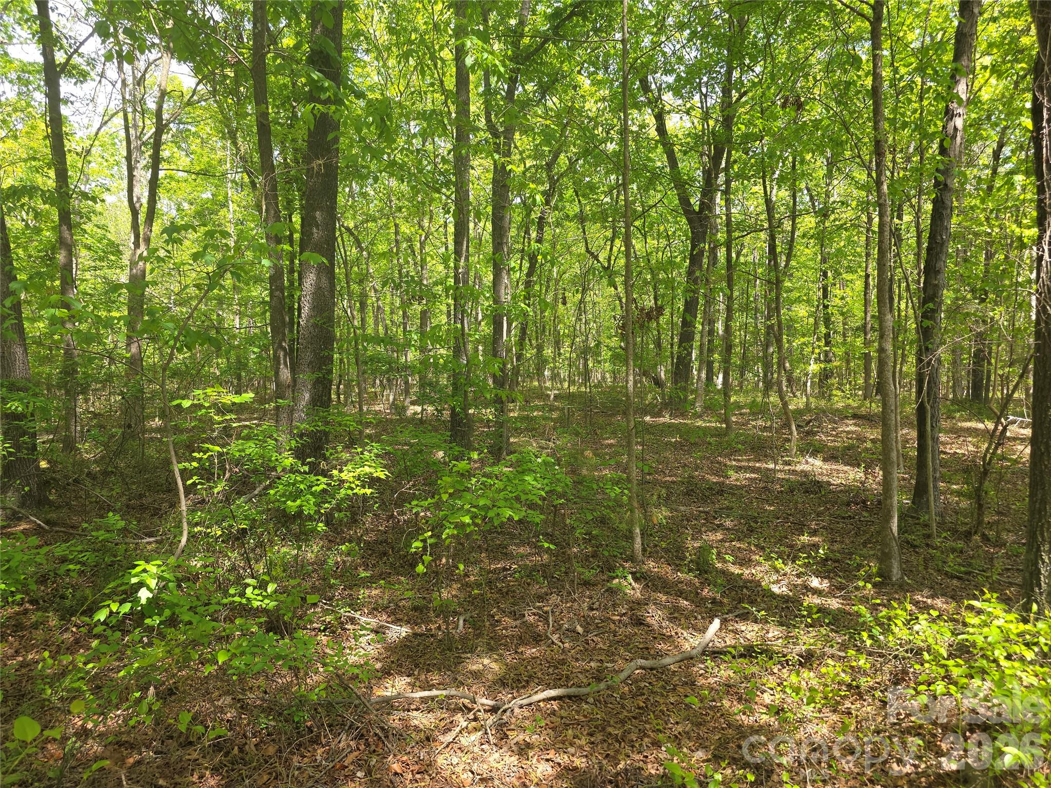 Lot 5 Wolf Pond Road Property Photo 8