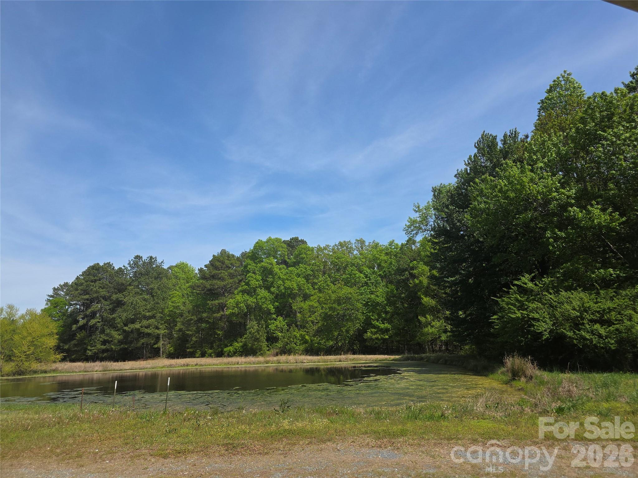 Lot 5 Wolf Pond Road Property Photo 9