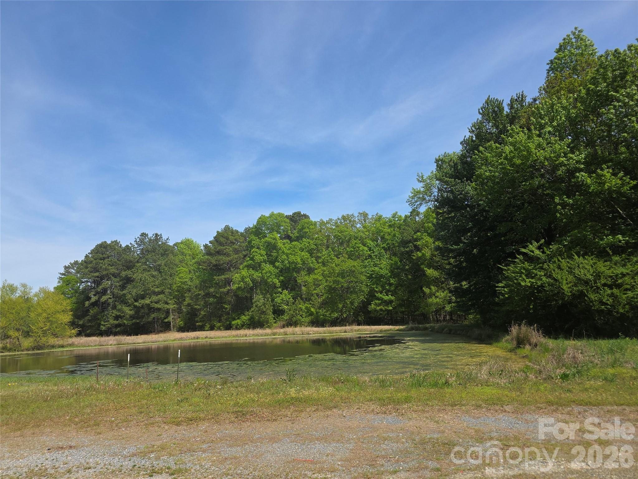 Lot 5 Wolf Pond Road Property Photo 10
