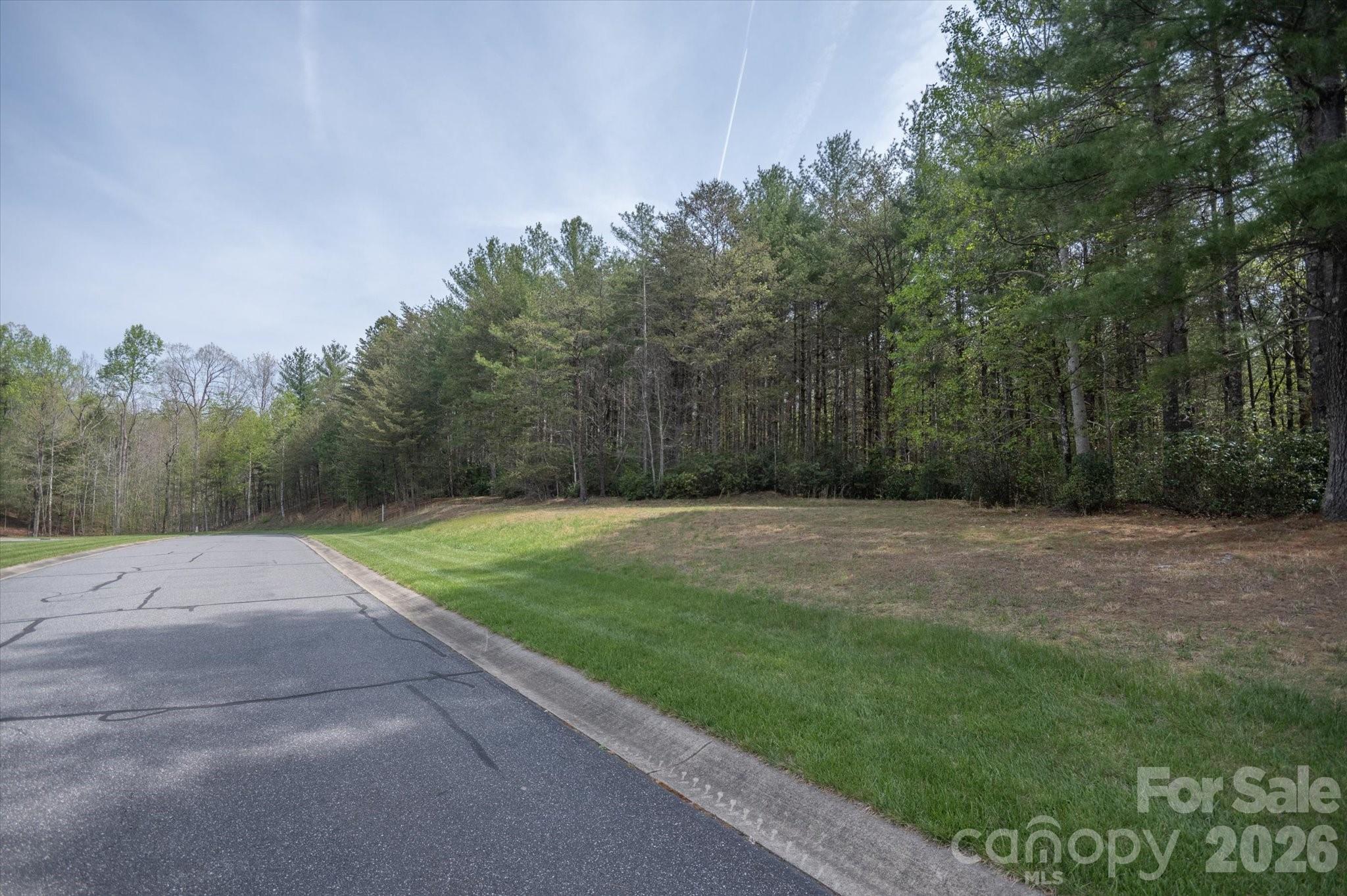 103 Big Tree Way Property Photo 3