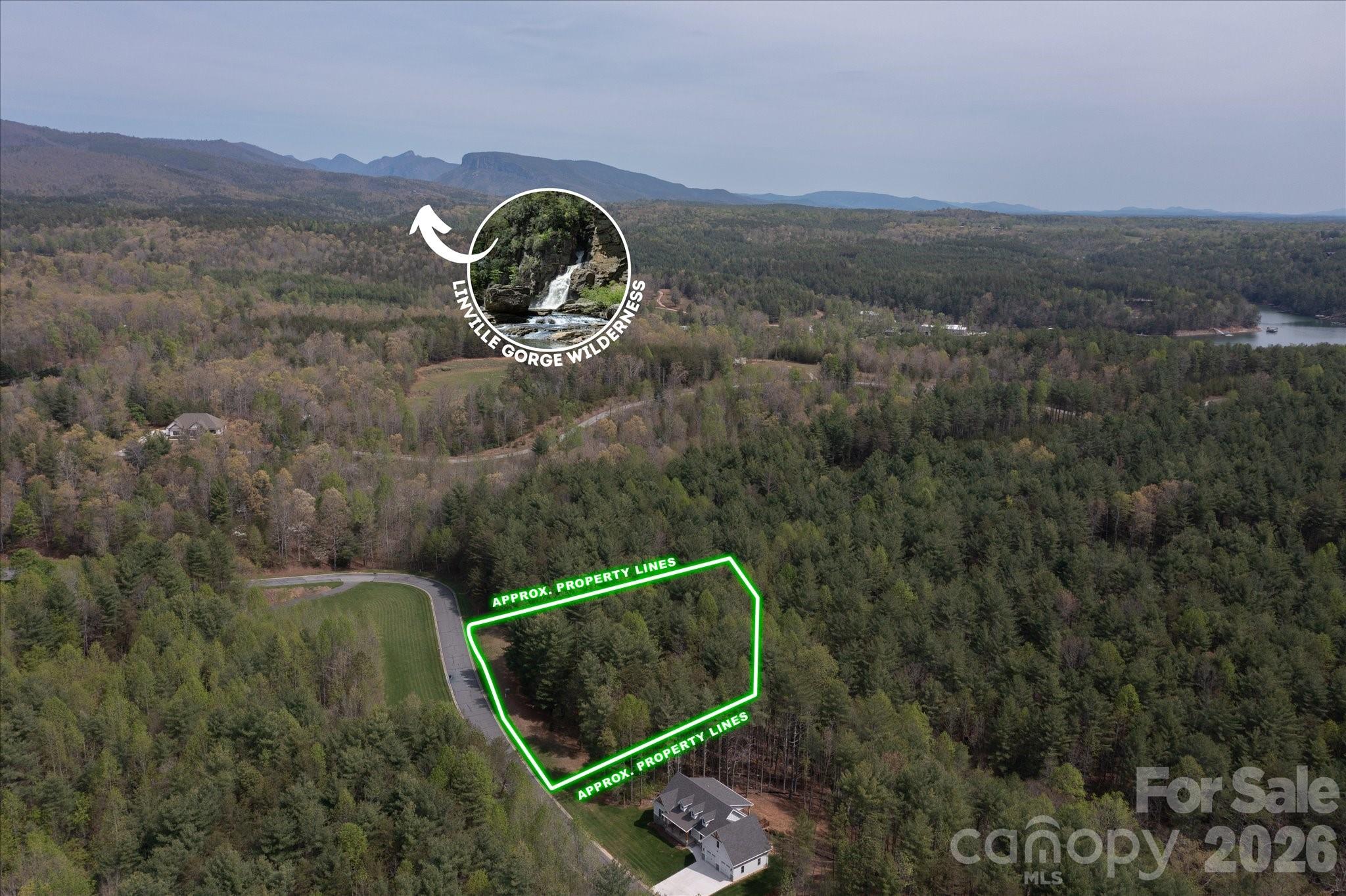 103 Big Tree Way Property Photo 9