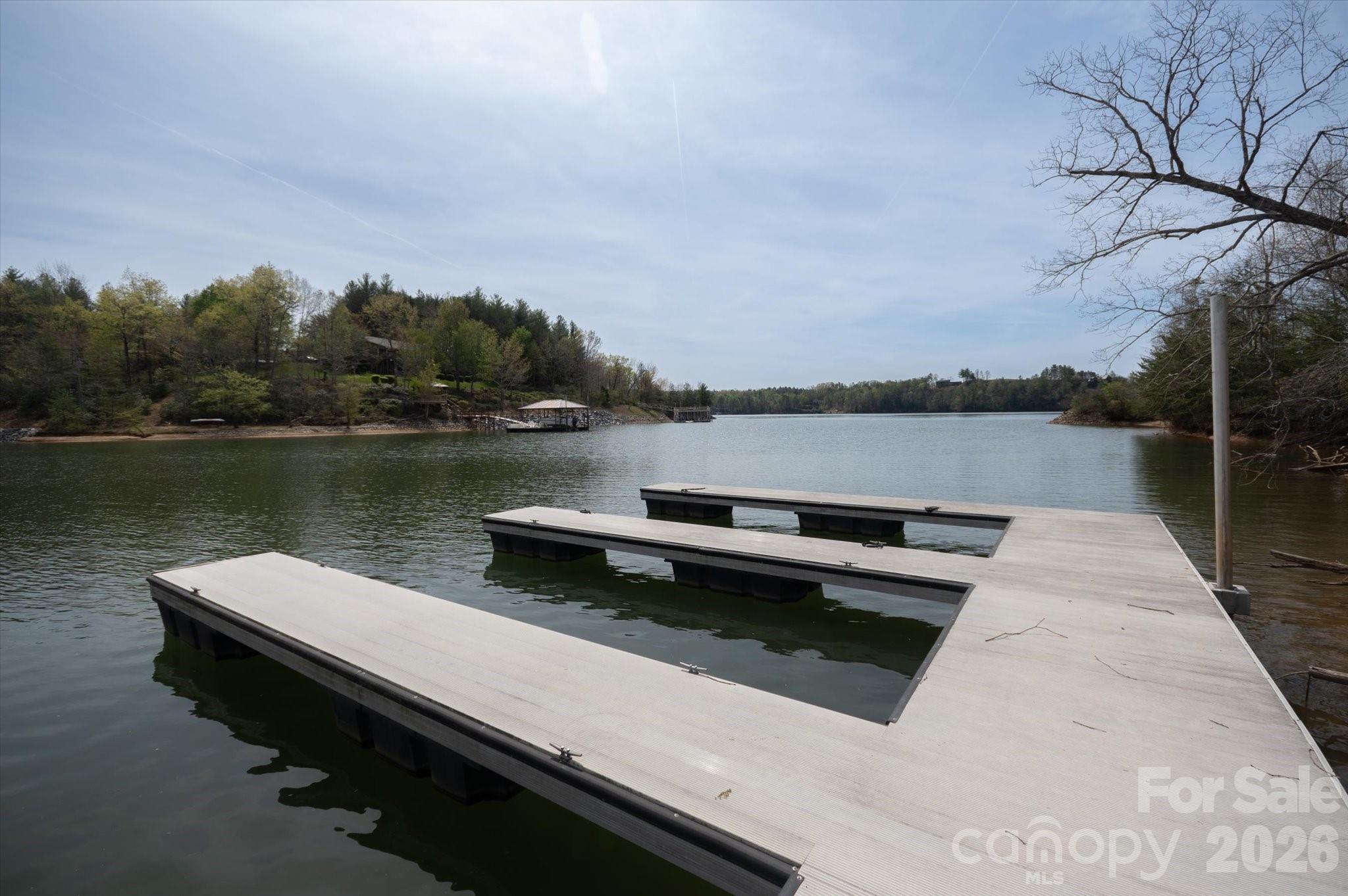 103 Big Tree Way Property Photo 12