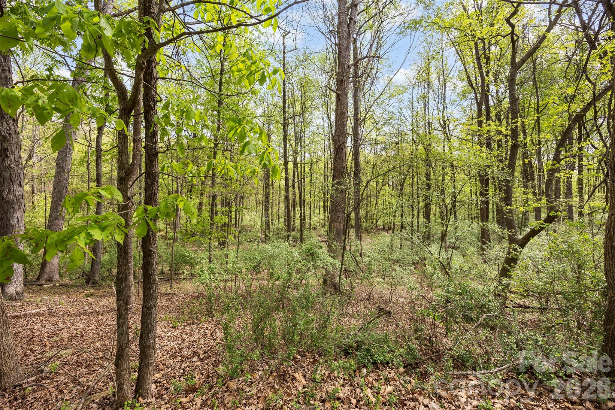 10601 Wildlife Road Property Photo 6