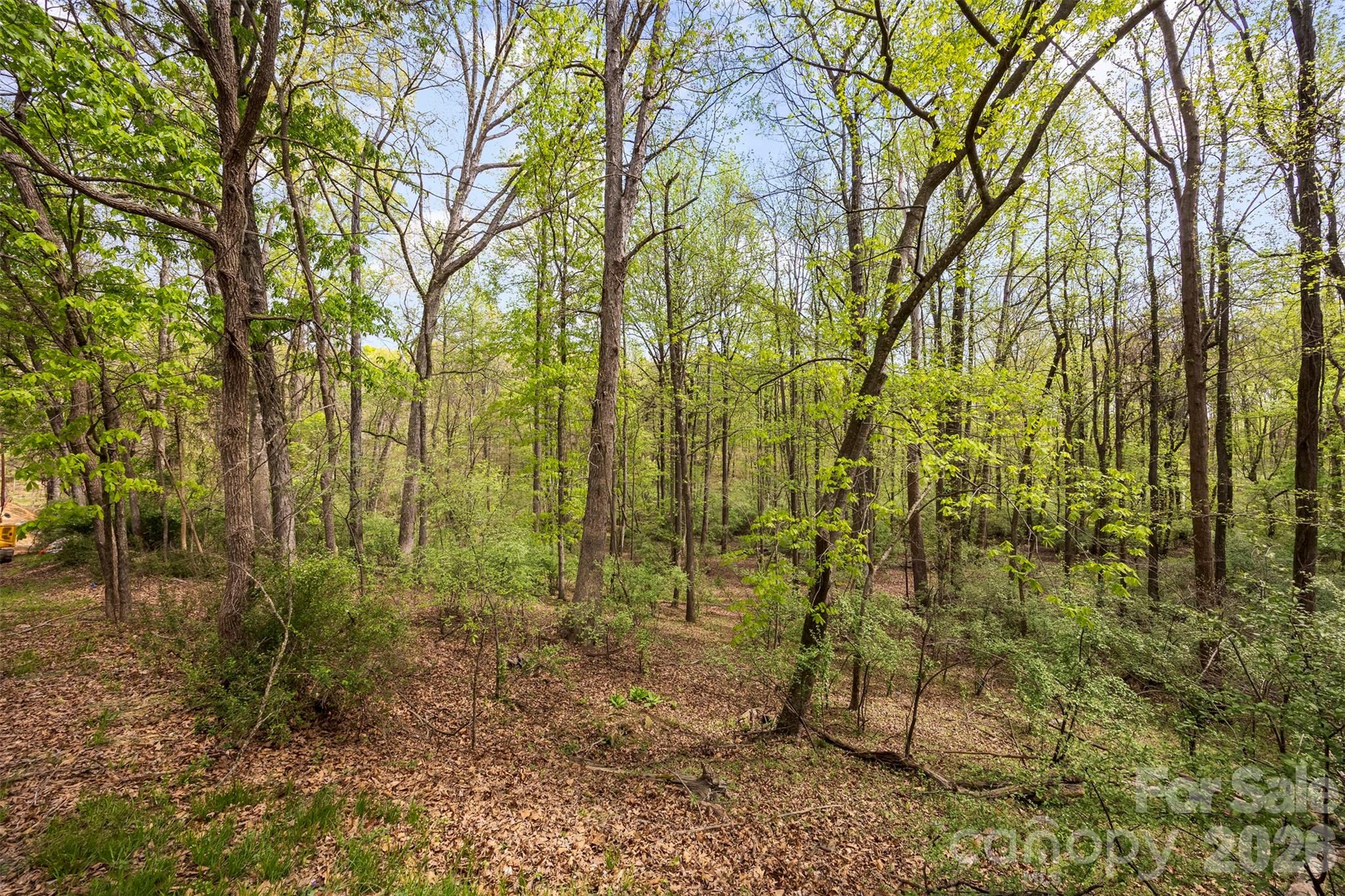 10601 Wildlife Road Property Photo 7