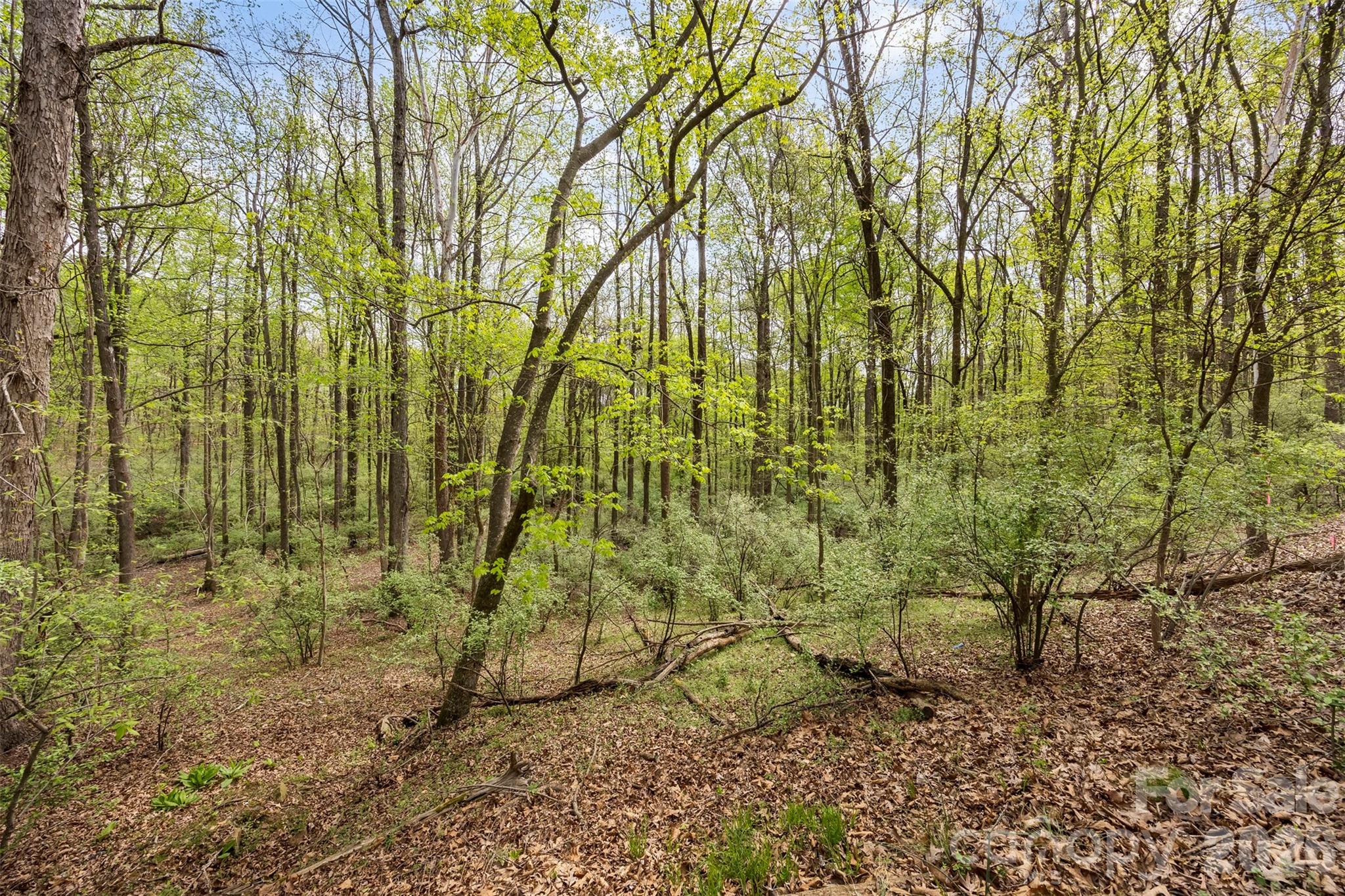 10601 Wildlife Road Property Photo 8