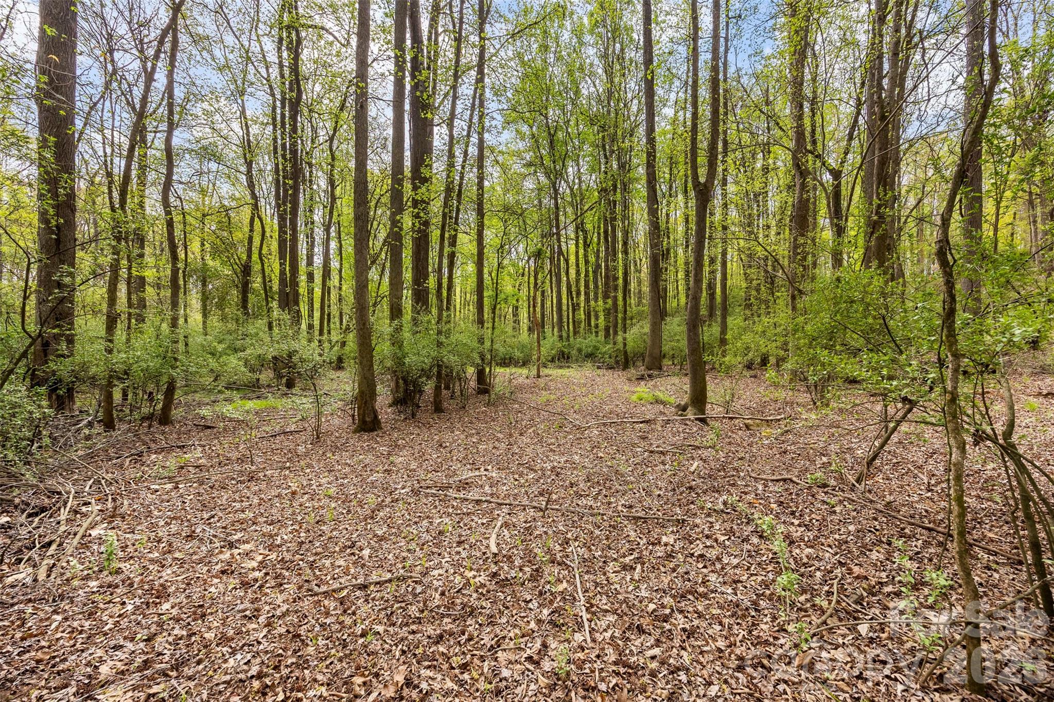 10601 Wildlife Road Property Photo 9
