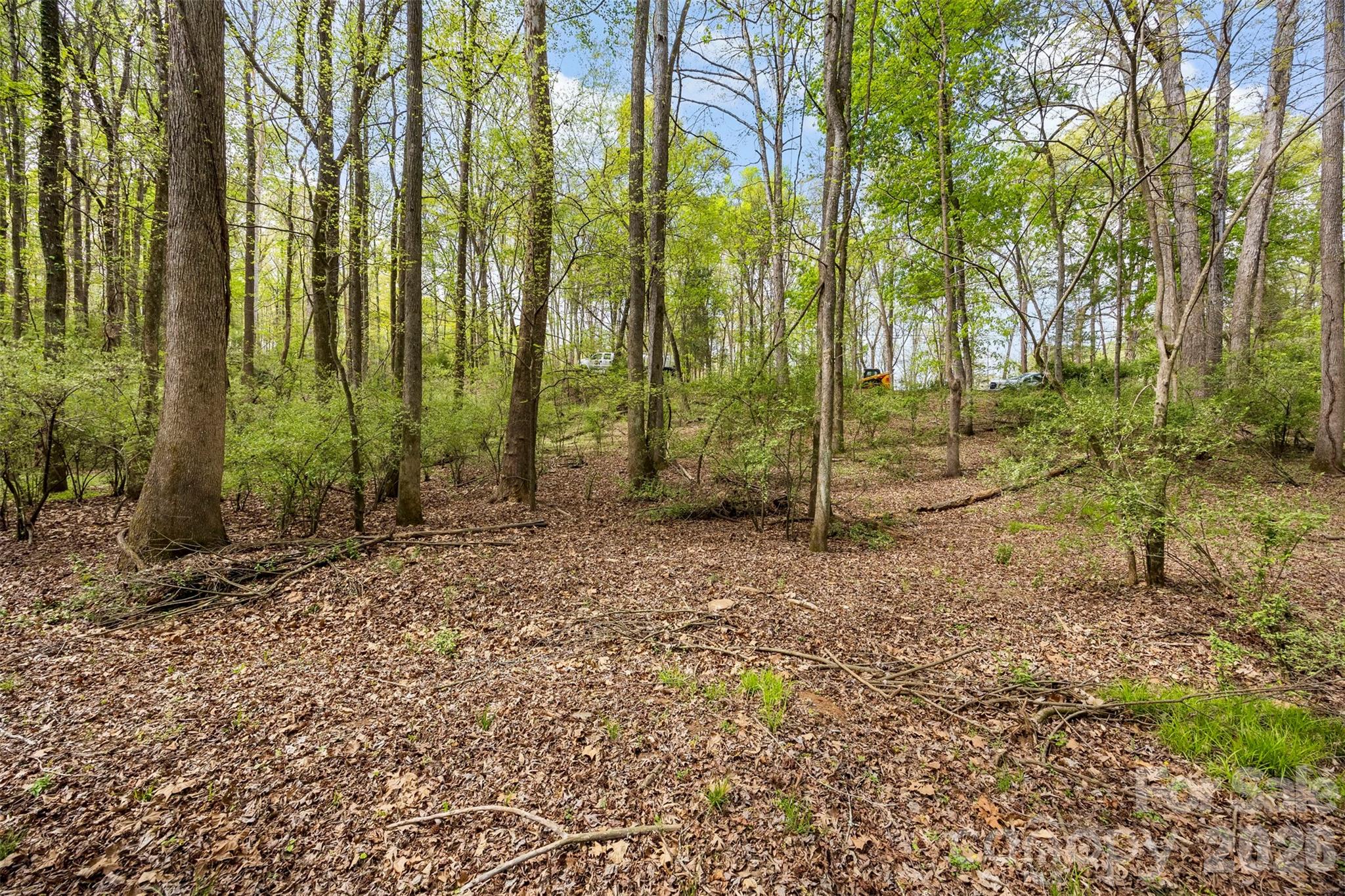 10601 Wildlife Road Property Photo 10