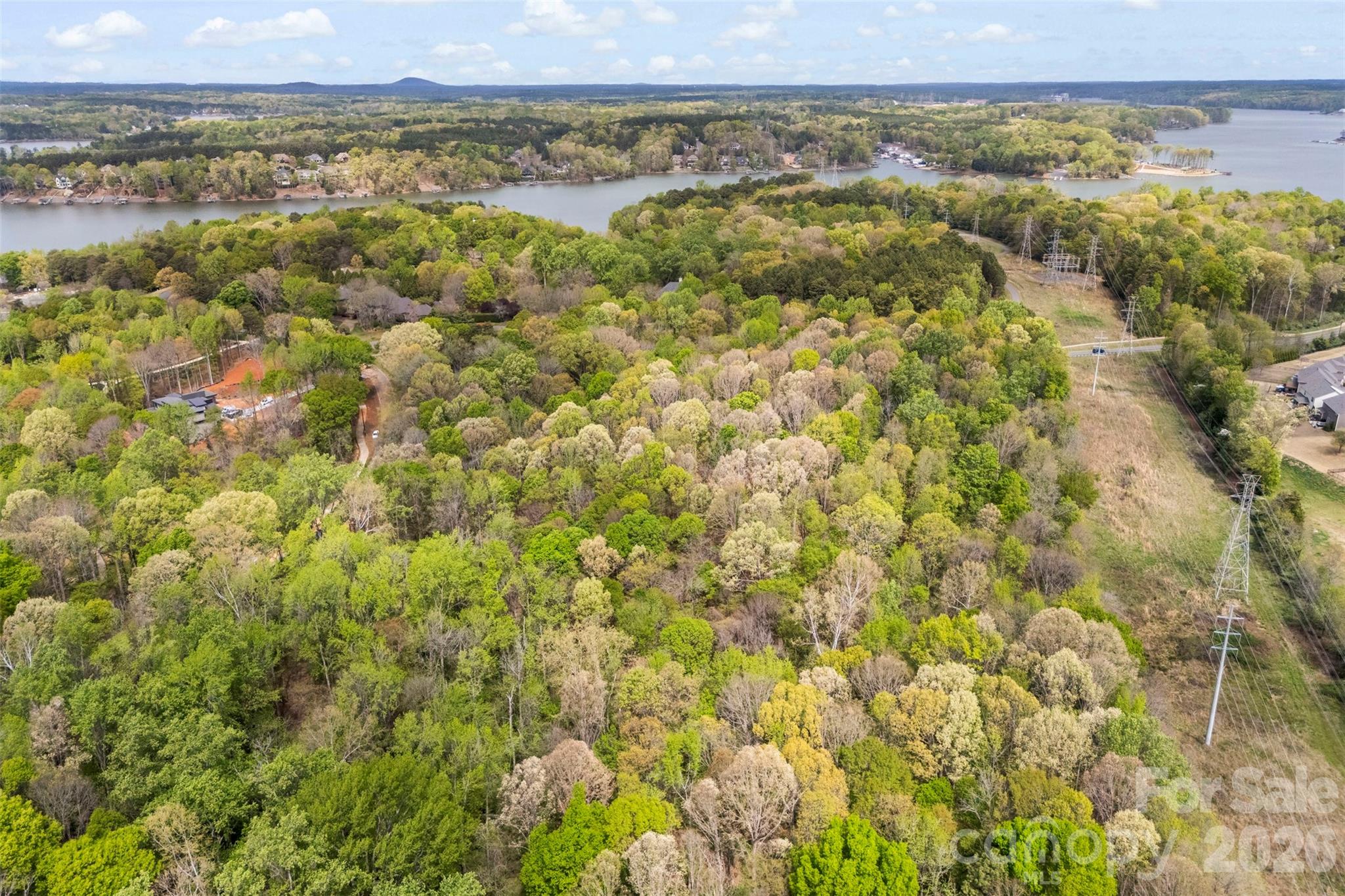 10601 Wildlife Road Property Photo 14