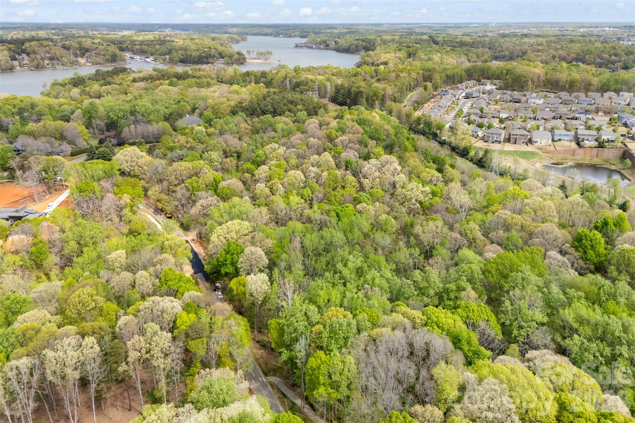10601 Wildlife Road Property Photo 16