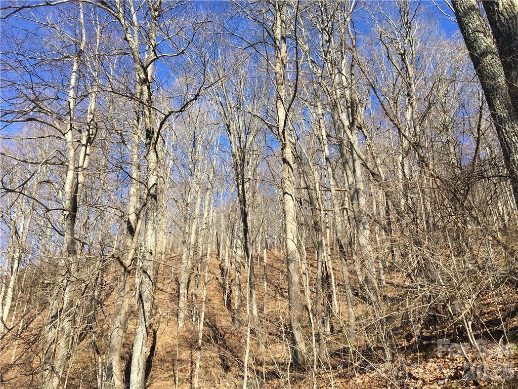 99999 Red Oak Forest Road Property Photo 1