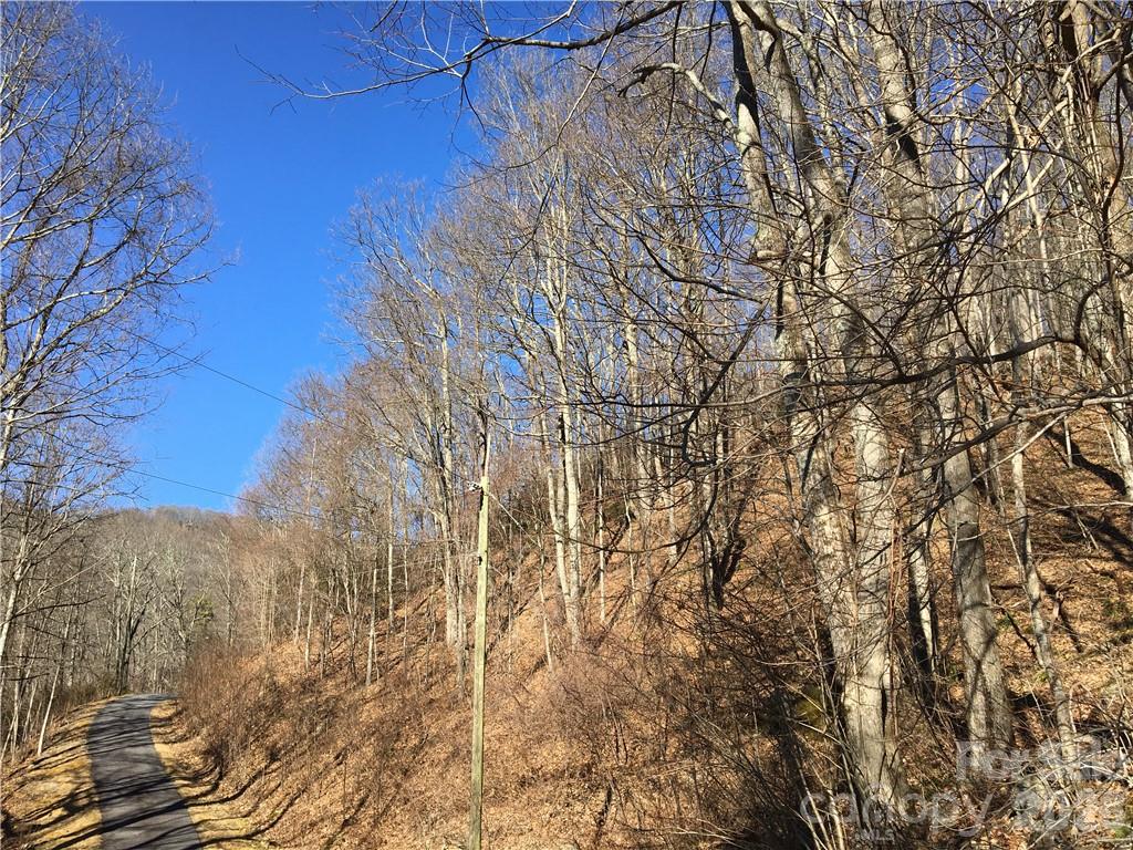99999 Red Oak Forest Road Property Photo 2