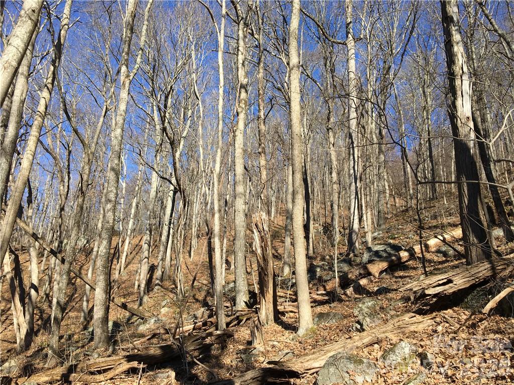99999 Red Oak Forest Road Property Photo 3