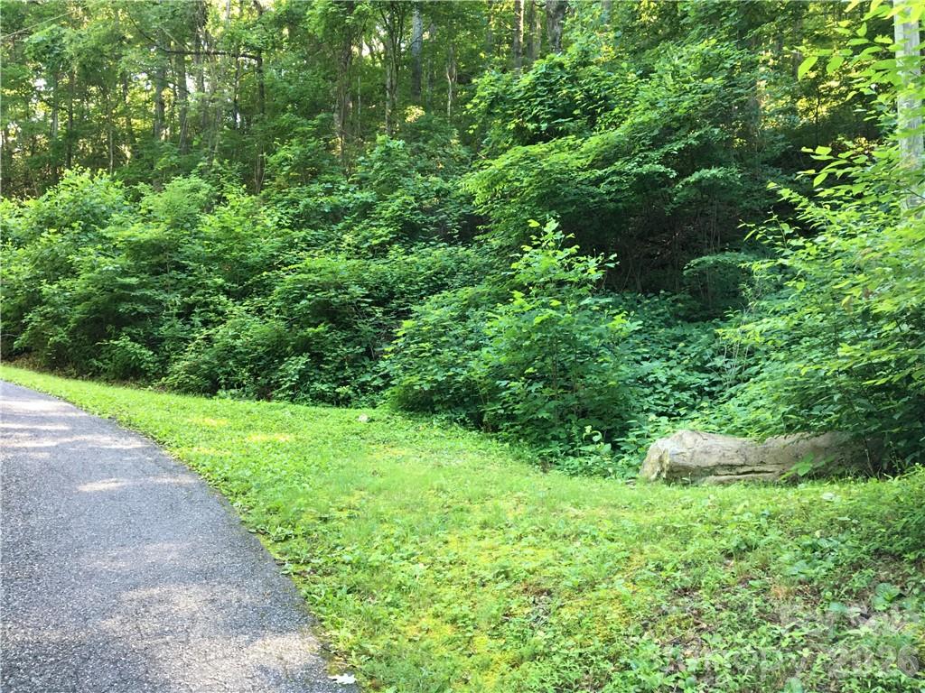99999 Red Oak Forest Road Property Photo 4
