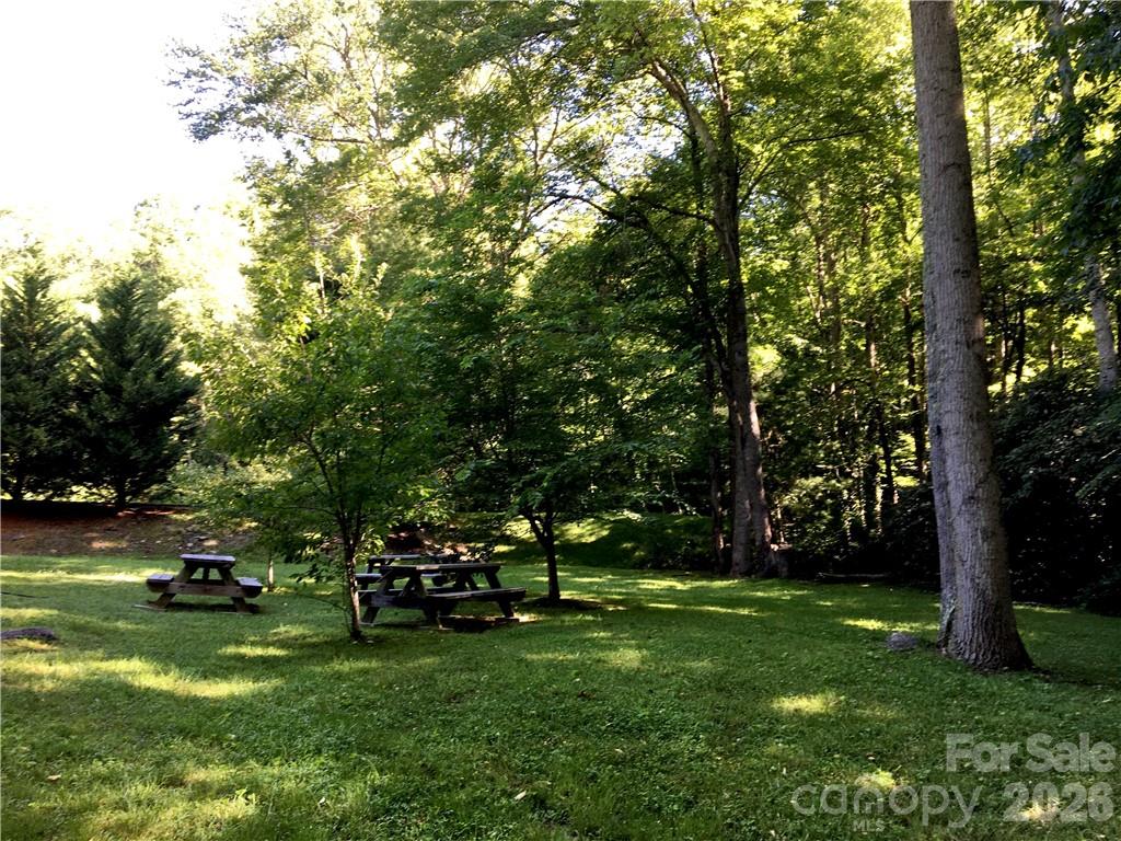 99999 Red Oak Forest Road Property Photo 7