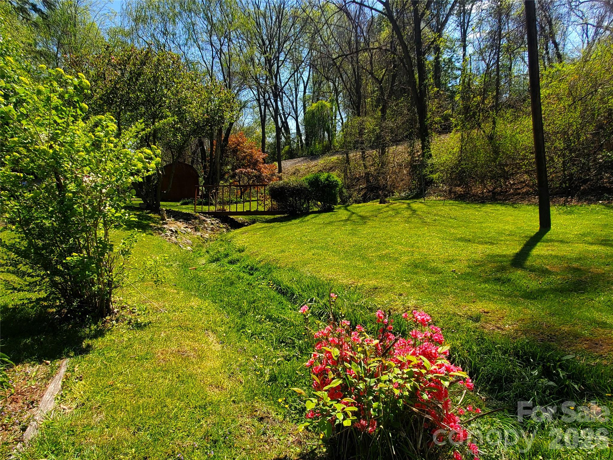 20 Homewood Drive Property Photo 5